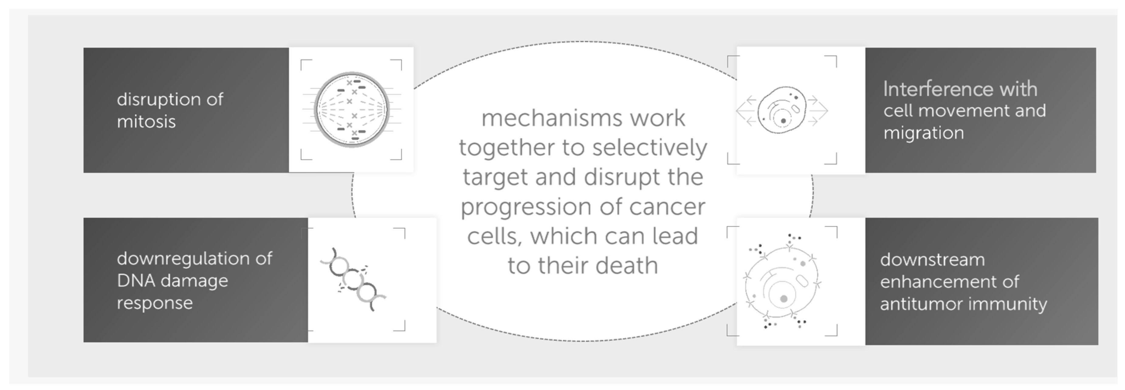 Curroncol 32 00185 g001