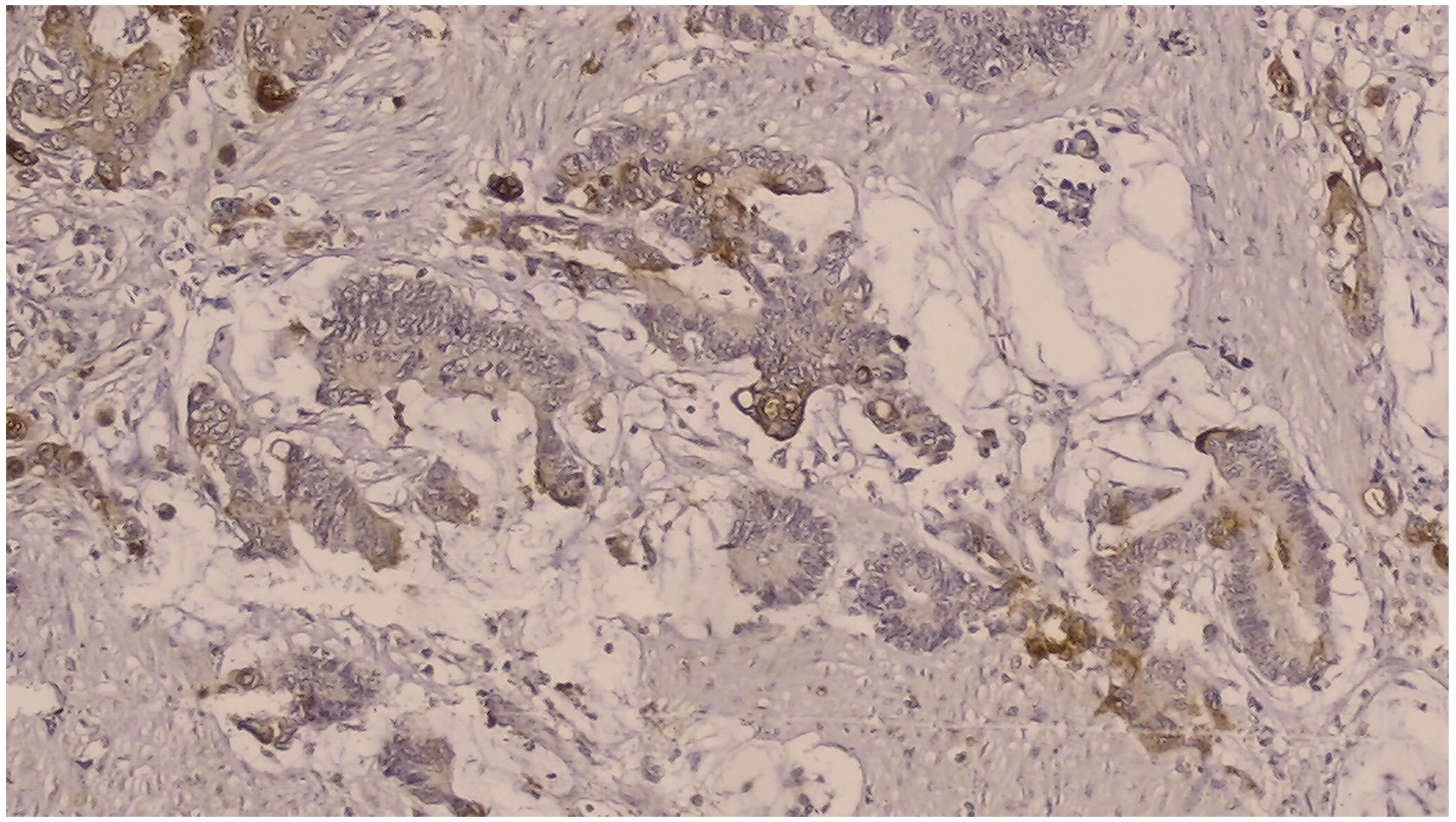 Curroncol 32 00190 g001