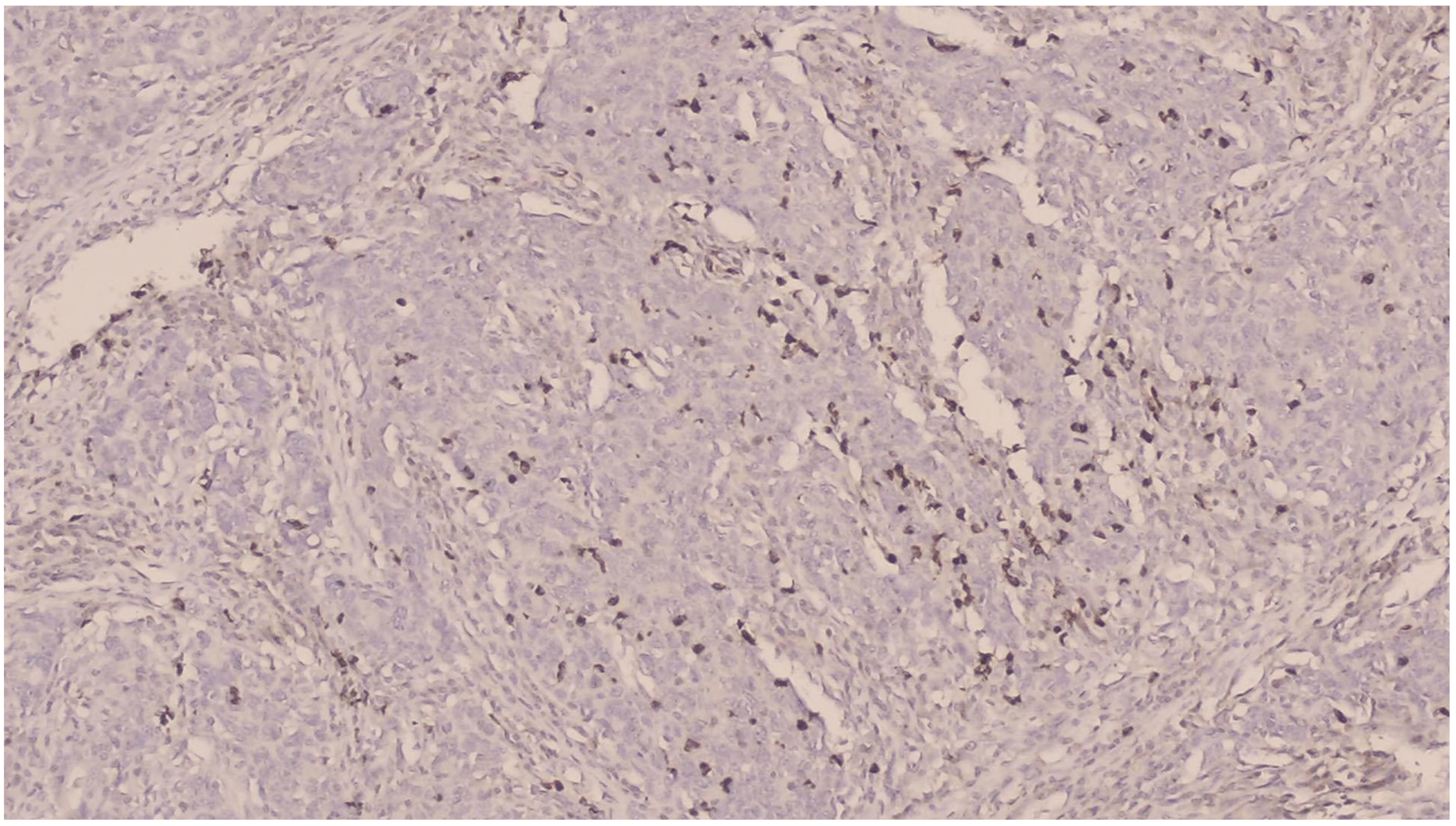 Curroncol 32 00190 g002