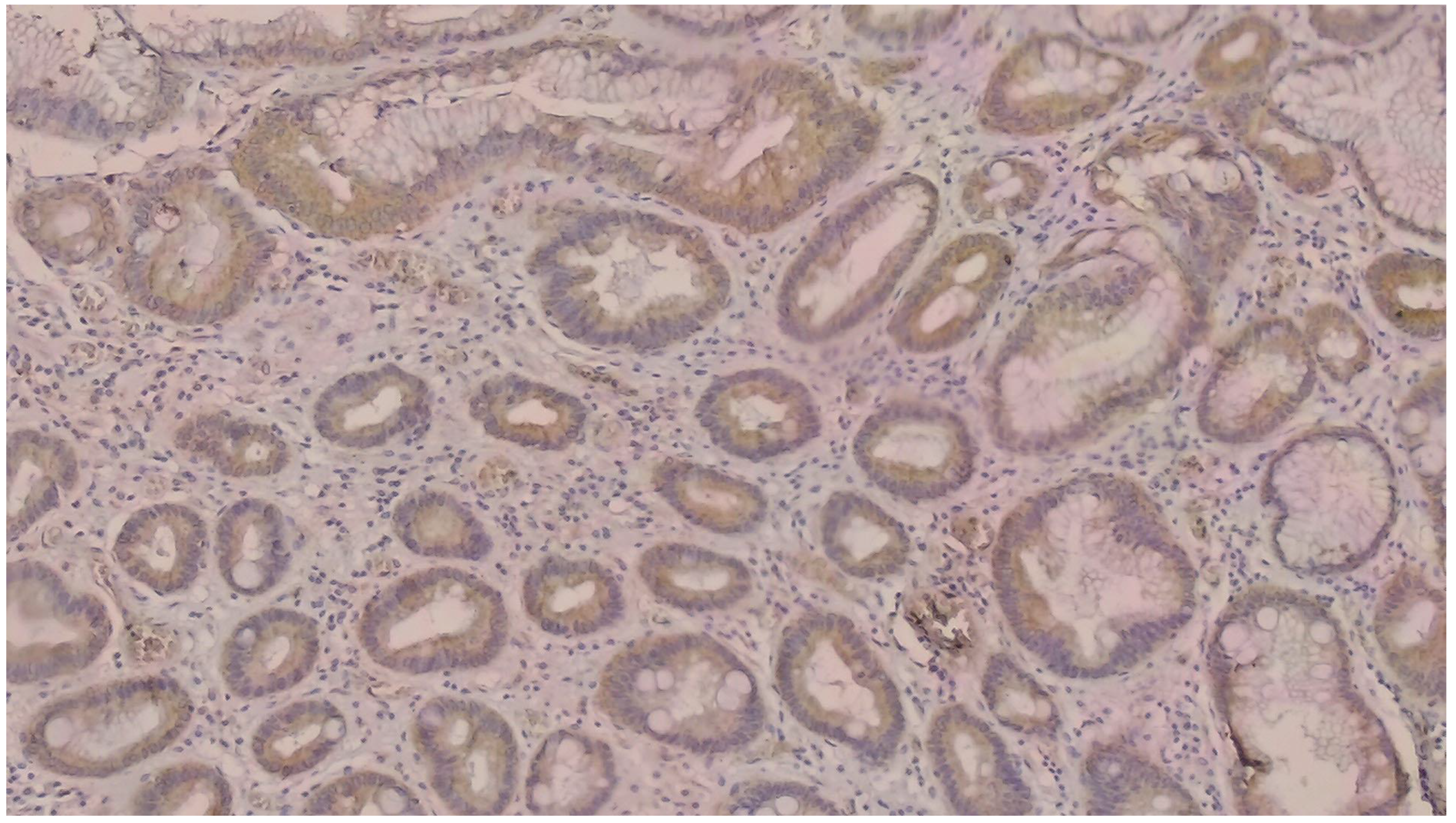 Curroncol 32 00190 g003