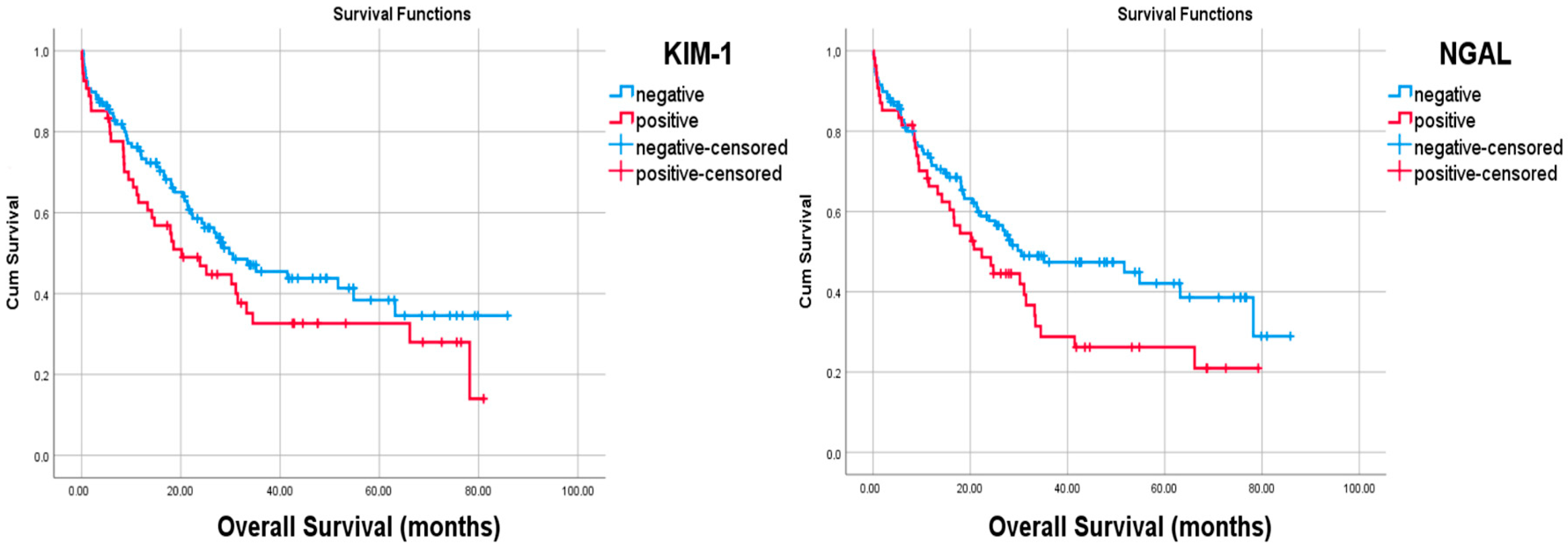 Curroncol 32 00190 g004