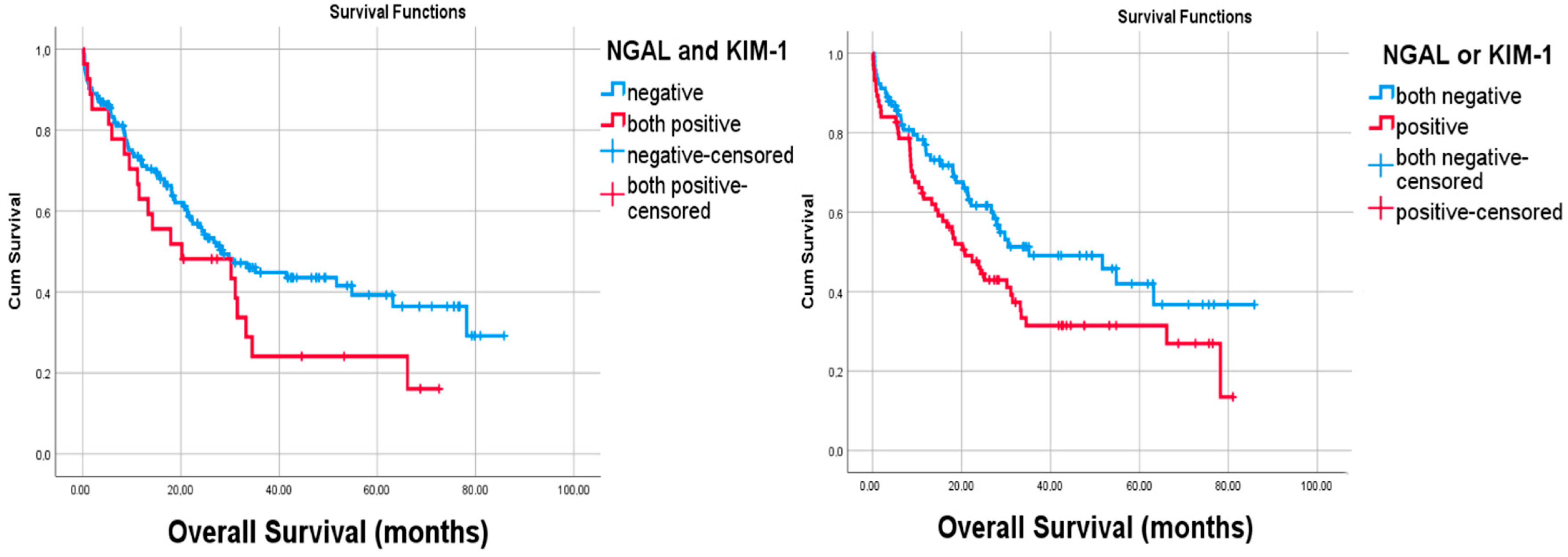 Curroncol 32 00190 g005