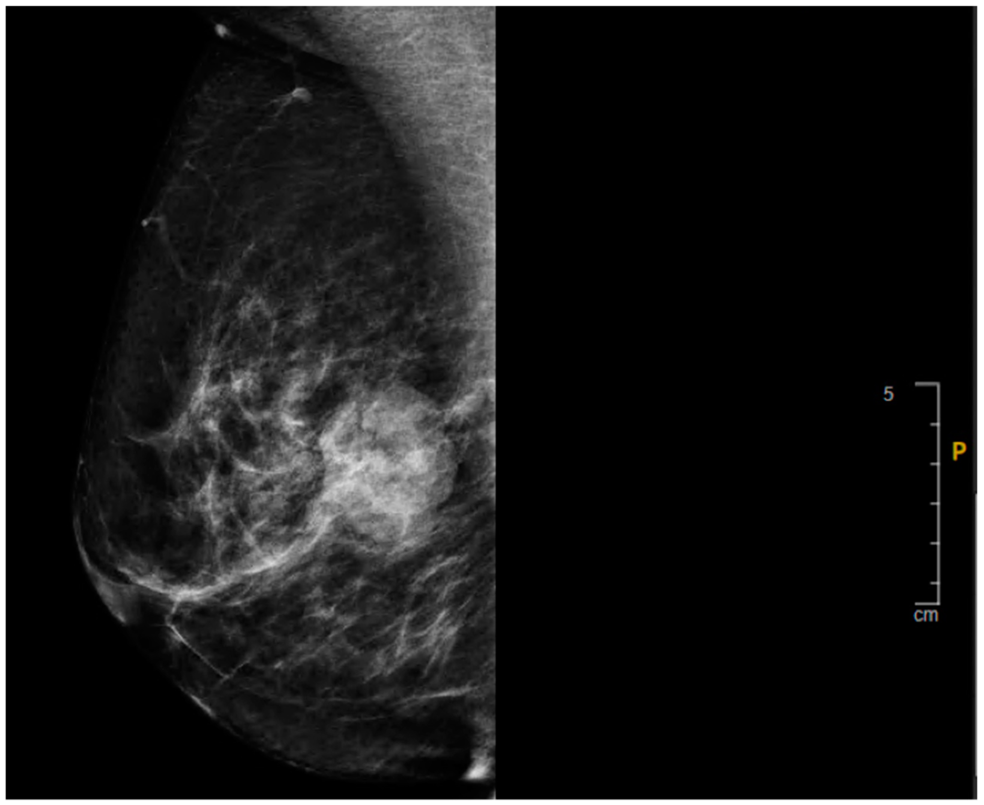 Curroncol 32 00205 sch002