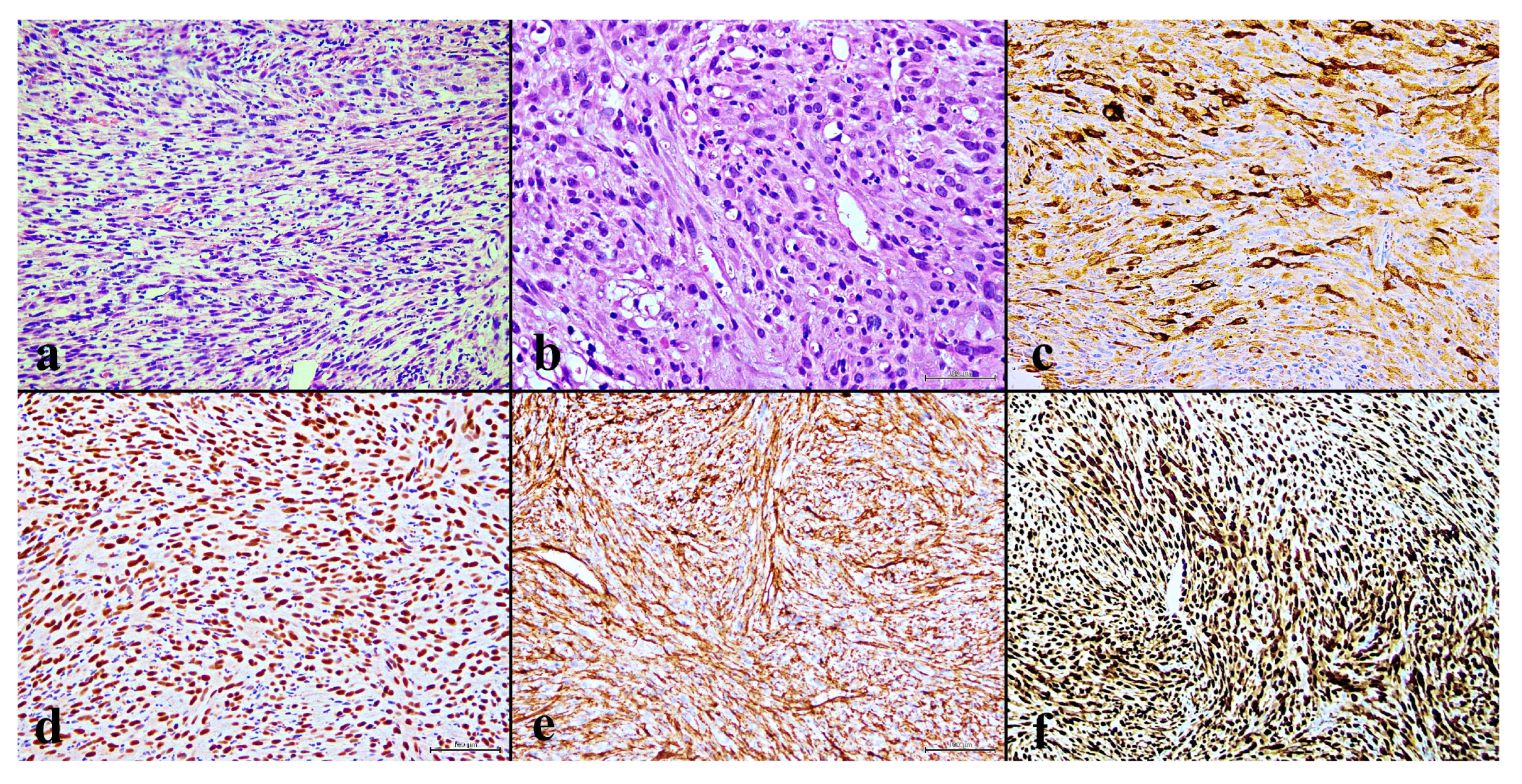 Curroncol 32 00219 g001