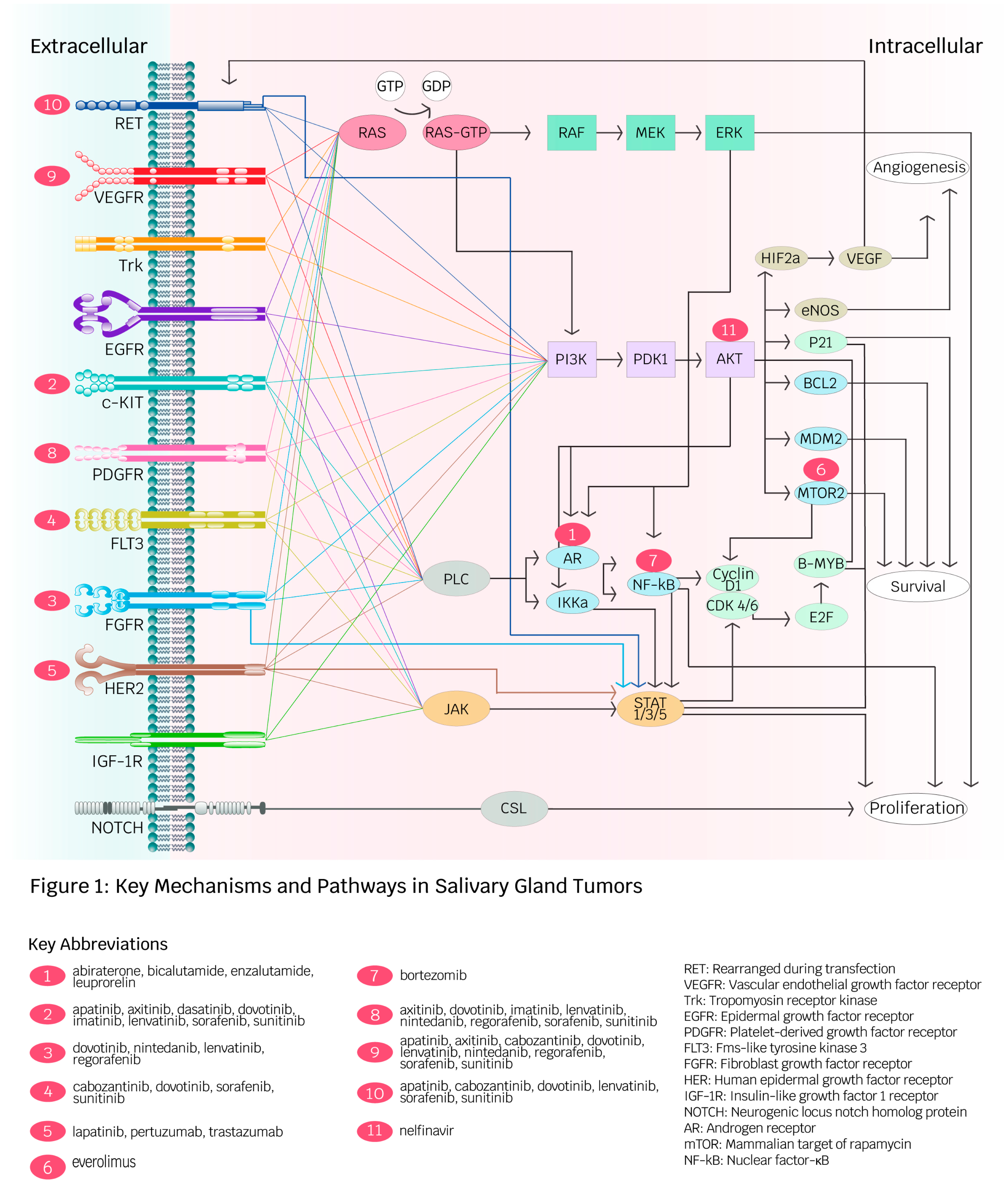 Curroncol 32 00232 g001