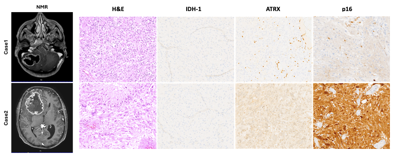 Curroncol 32 00242 g002