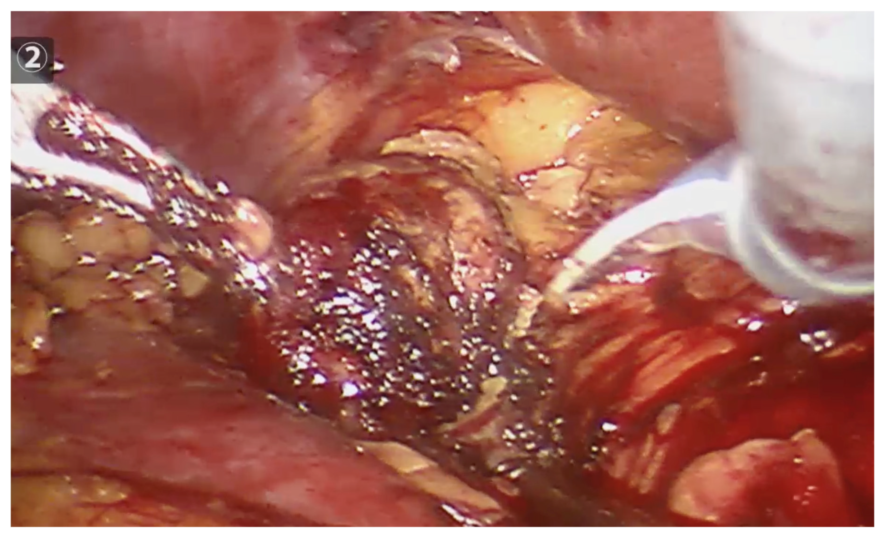 Curroncol 32 00246 g003