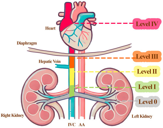 Curroncol 32 00256 g002