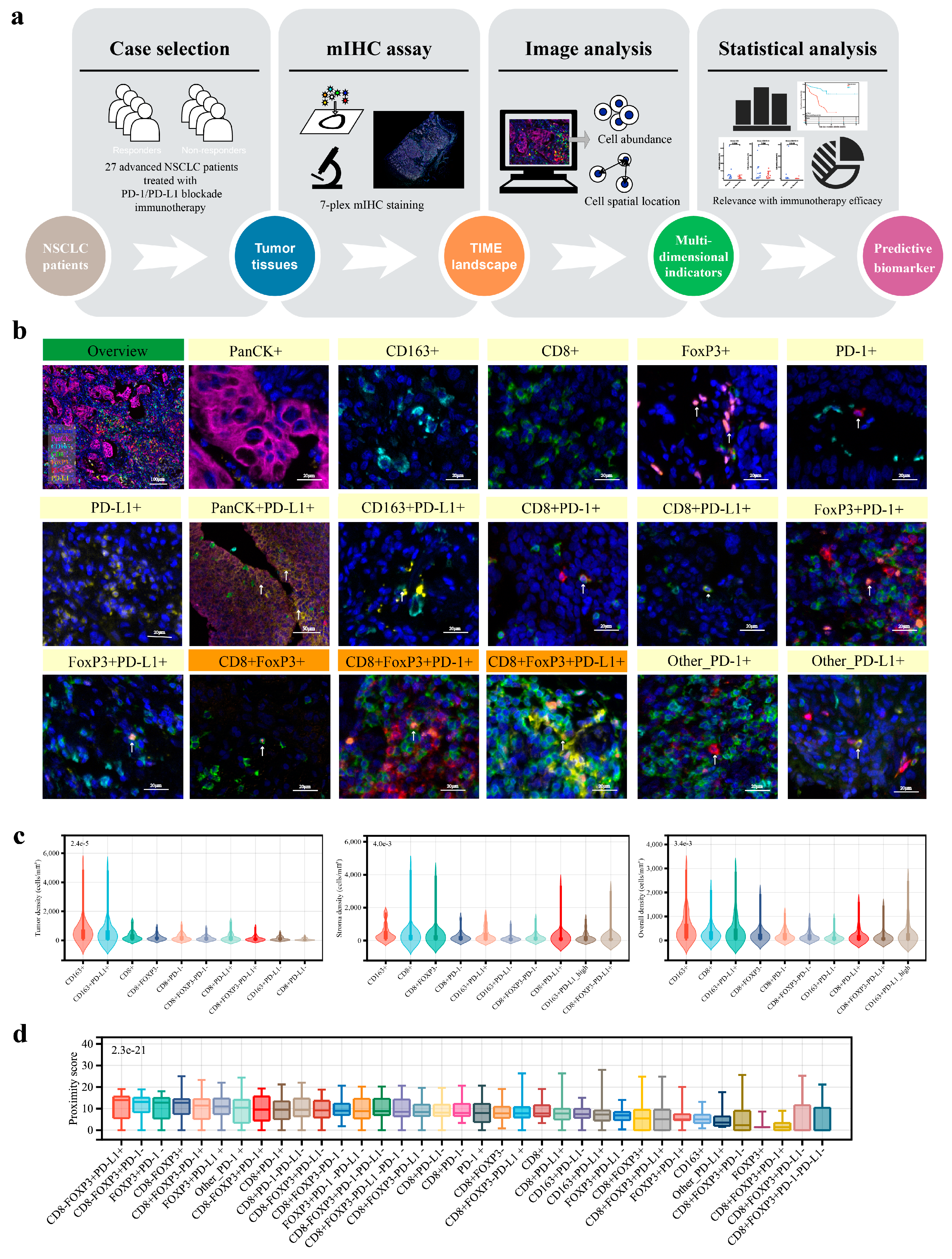 Curroncol 32 00262 g001