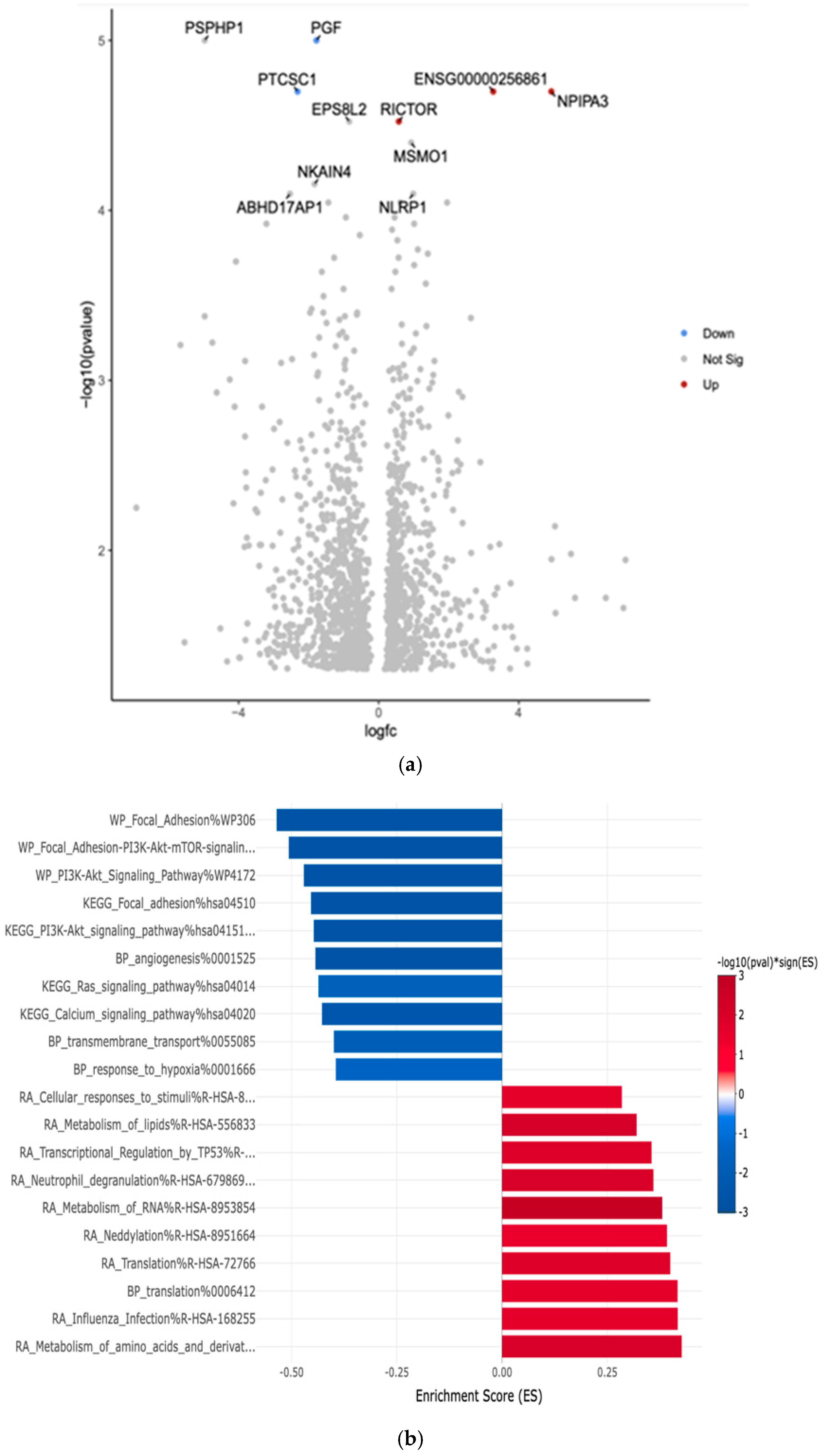 Curroncol 32 00315 g003