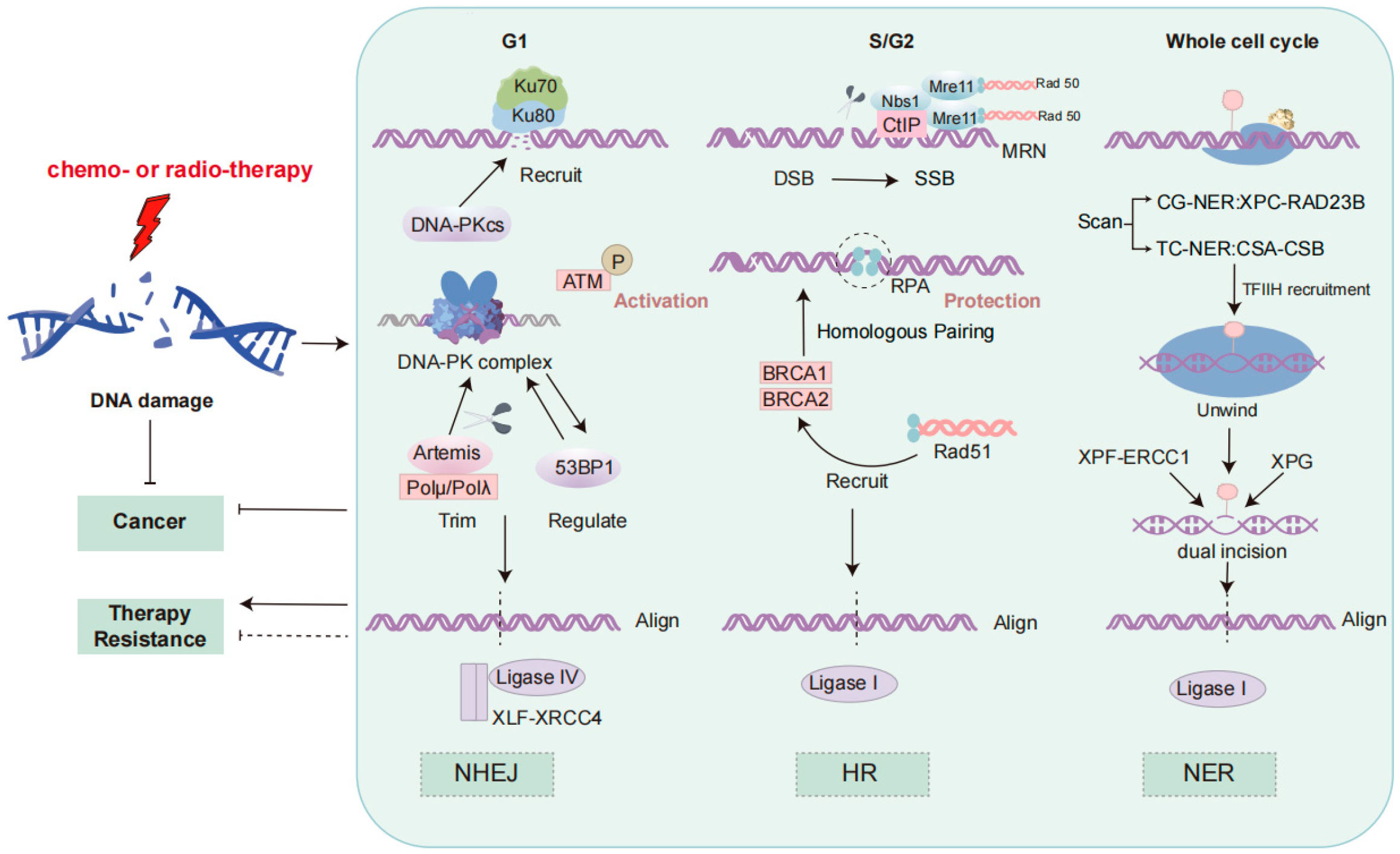Curroncol 32 00367 g001