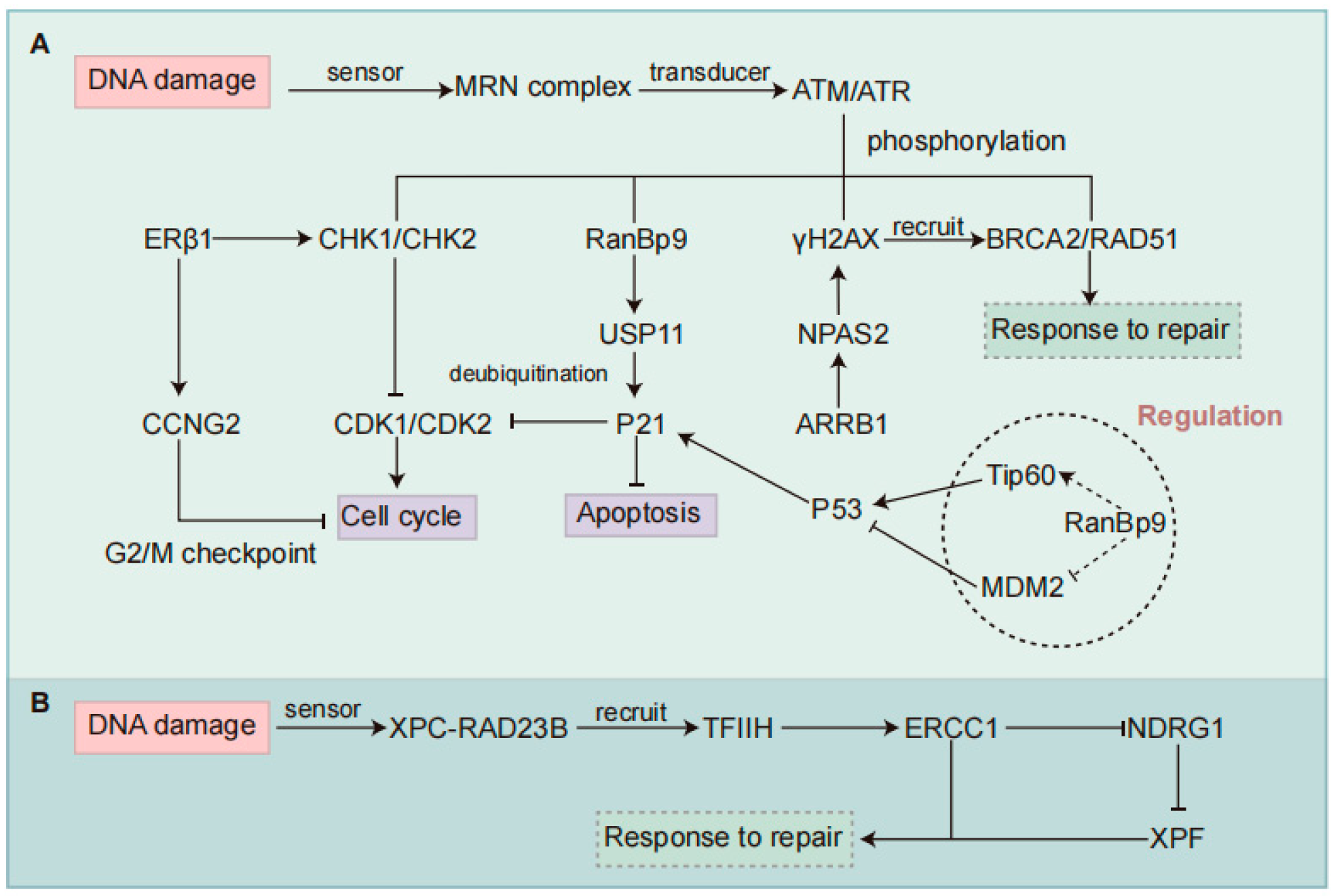 Curroncol 32 00367 g003