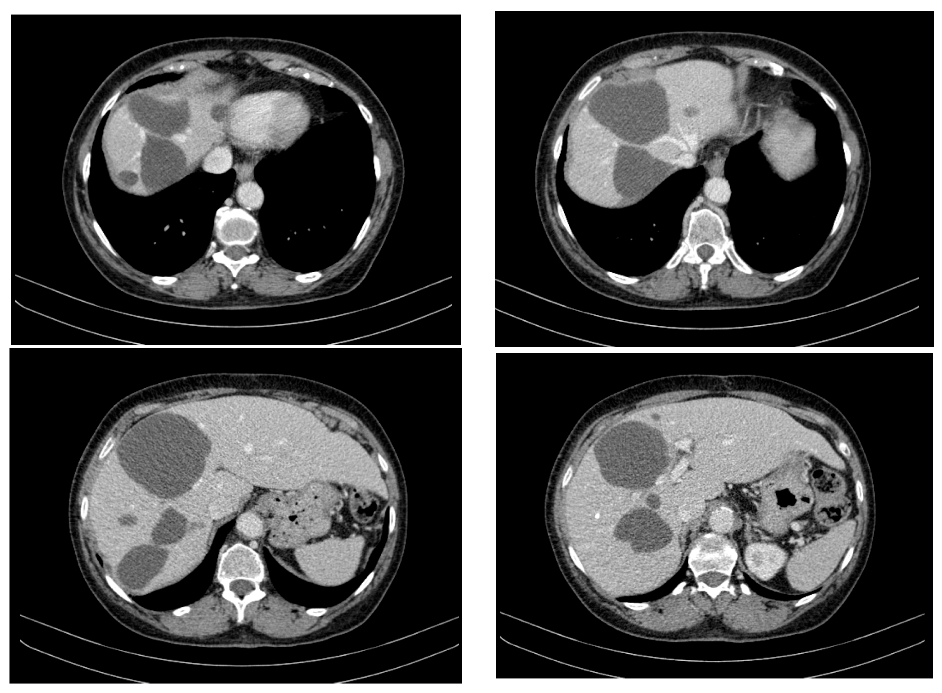 Curroncol 32 00383 g003
