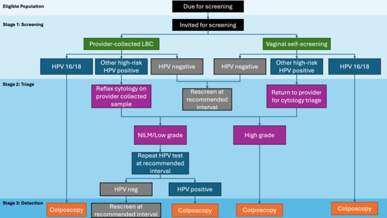Cervical Cancer Screening Cascade: A Framework for Monitoring Uptake ...