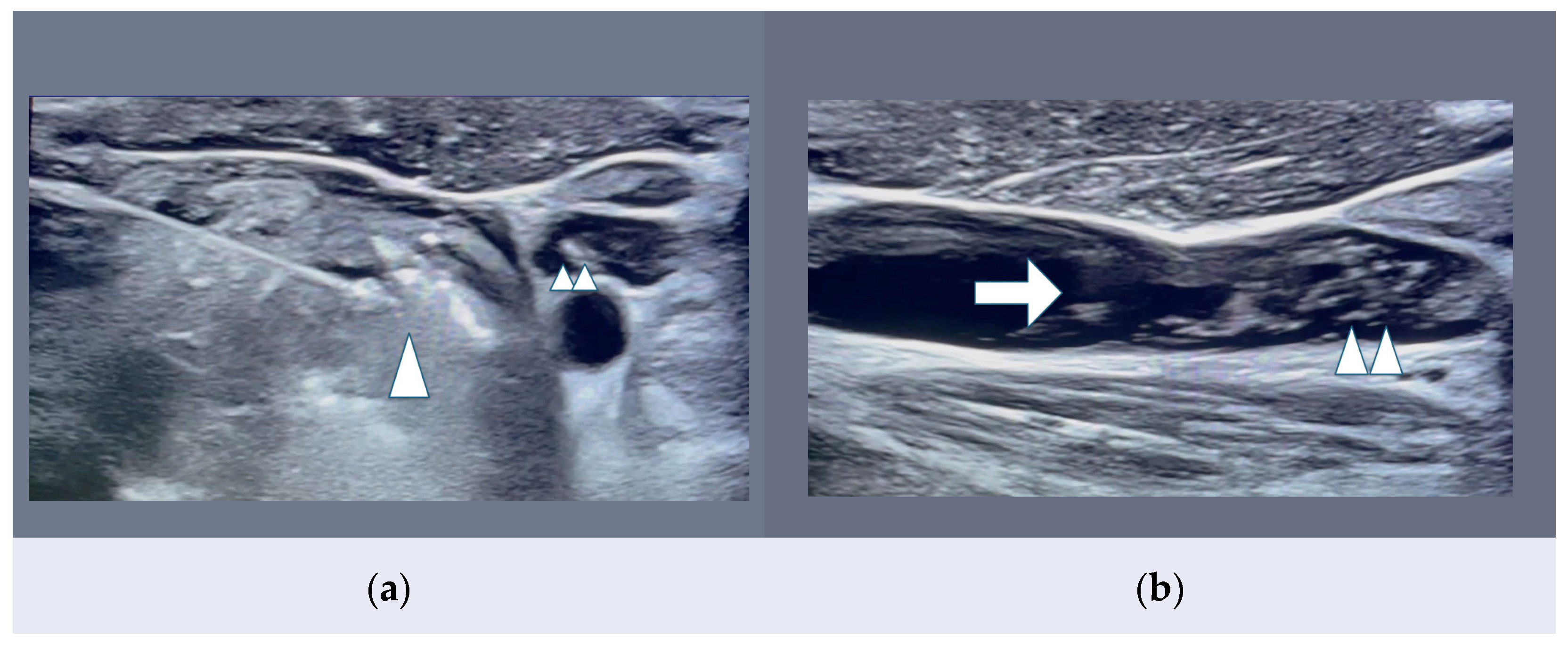 Curroncol 32 00442 g001