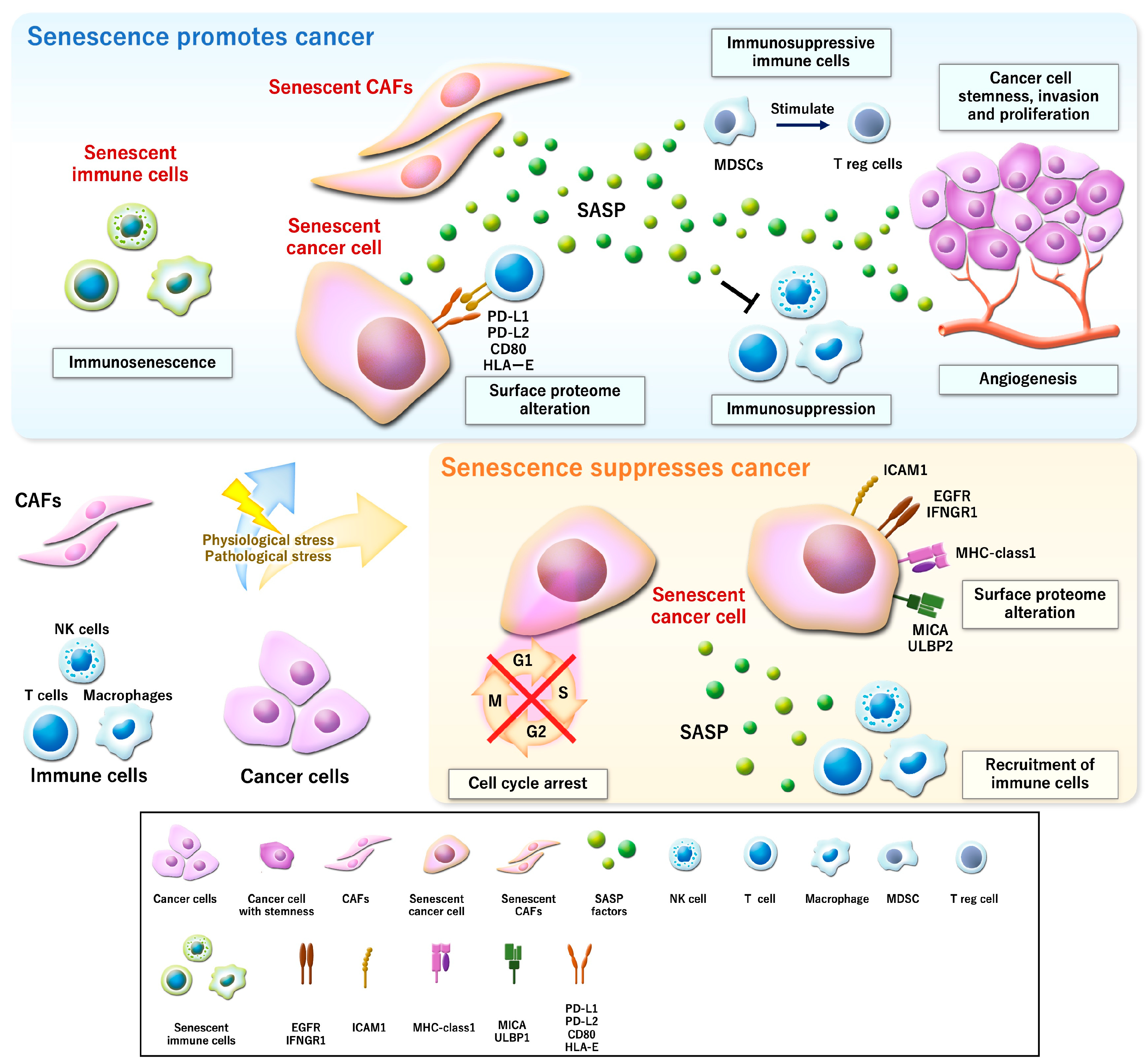 Curroncol 32 00467 g001