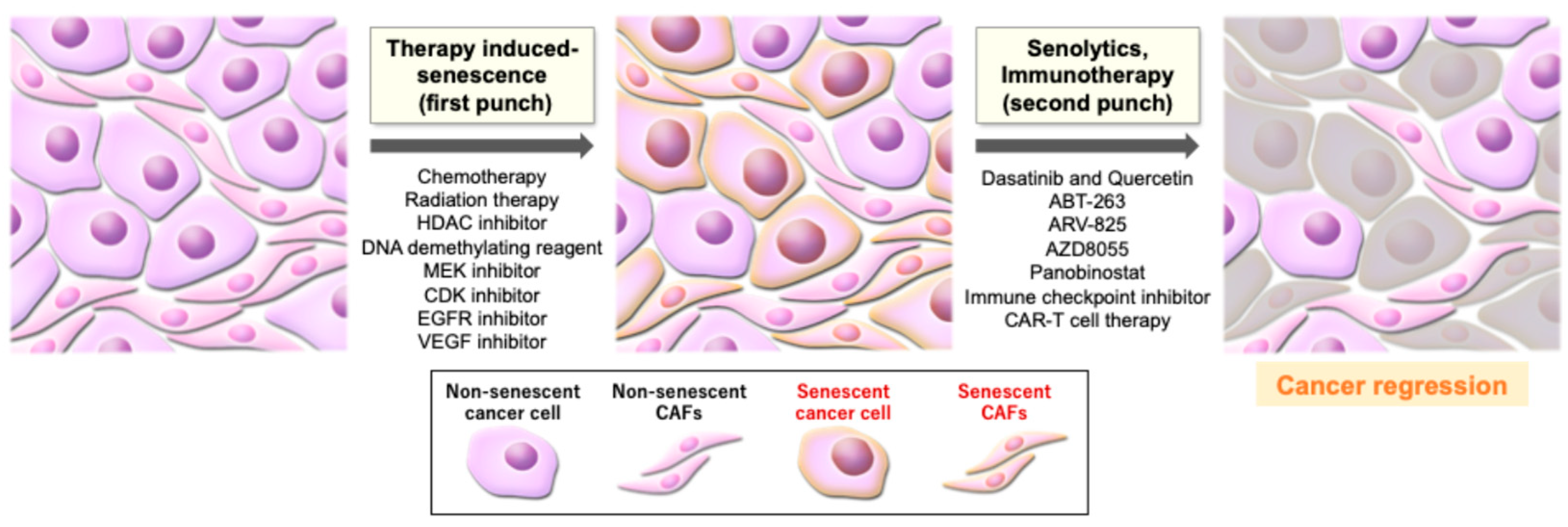Curroncol 32 00467 g002