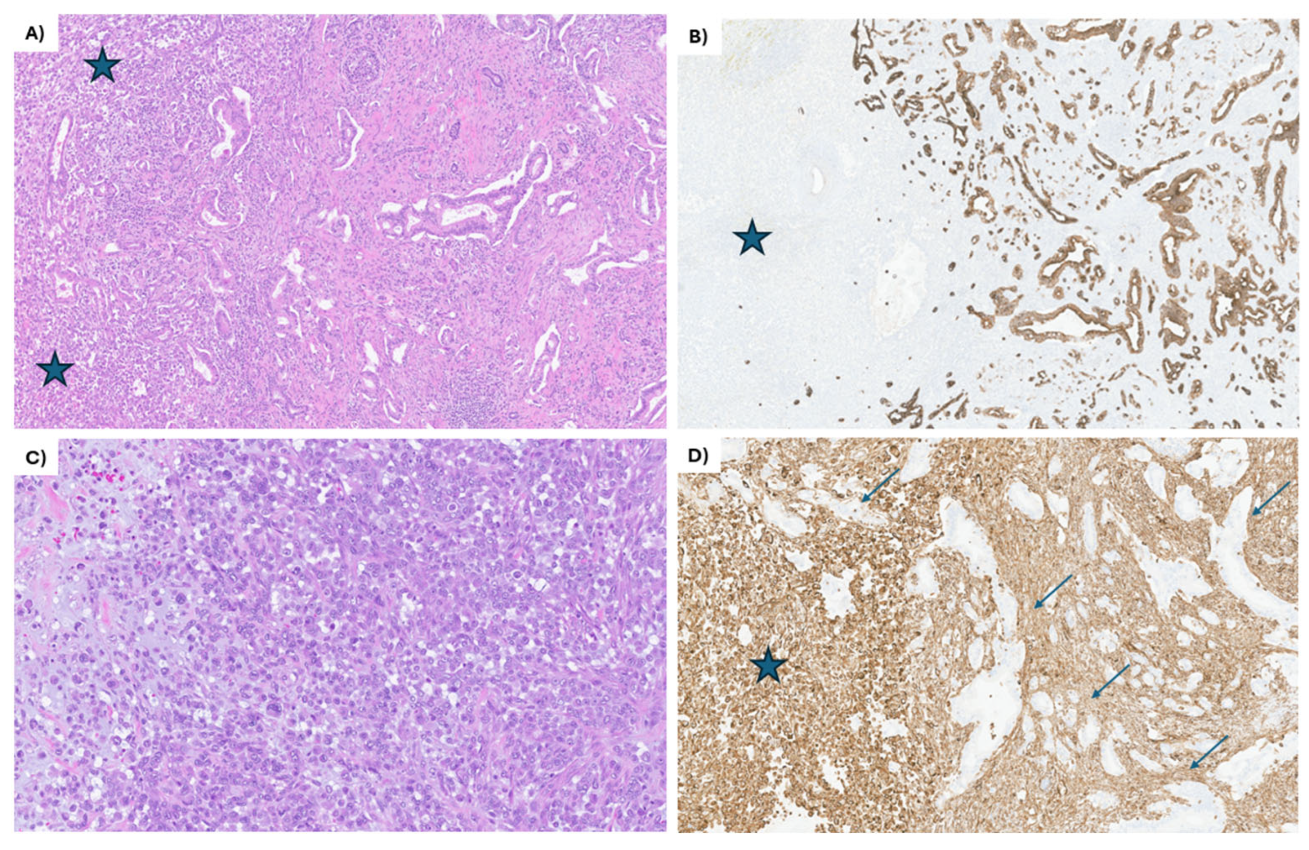 Curroncol 32 00470 g001