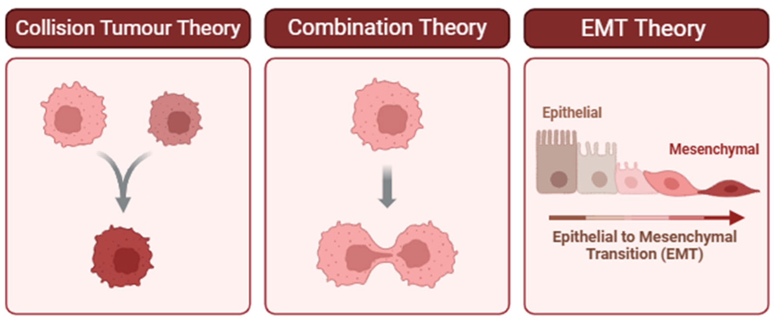 Curroncol 32 00470 g002