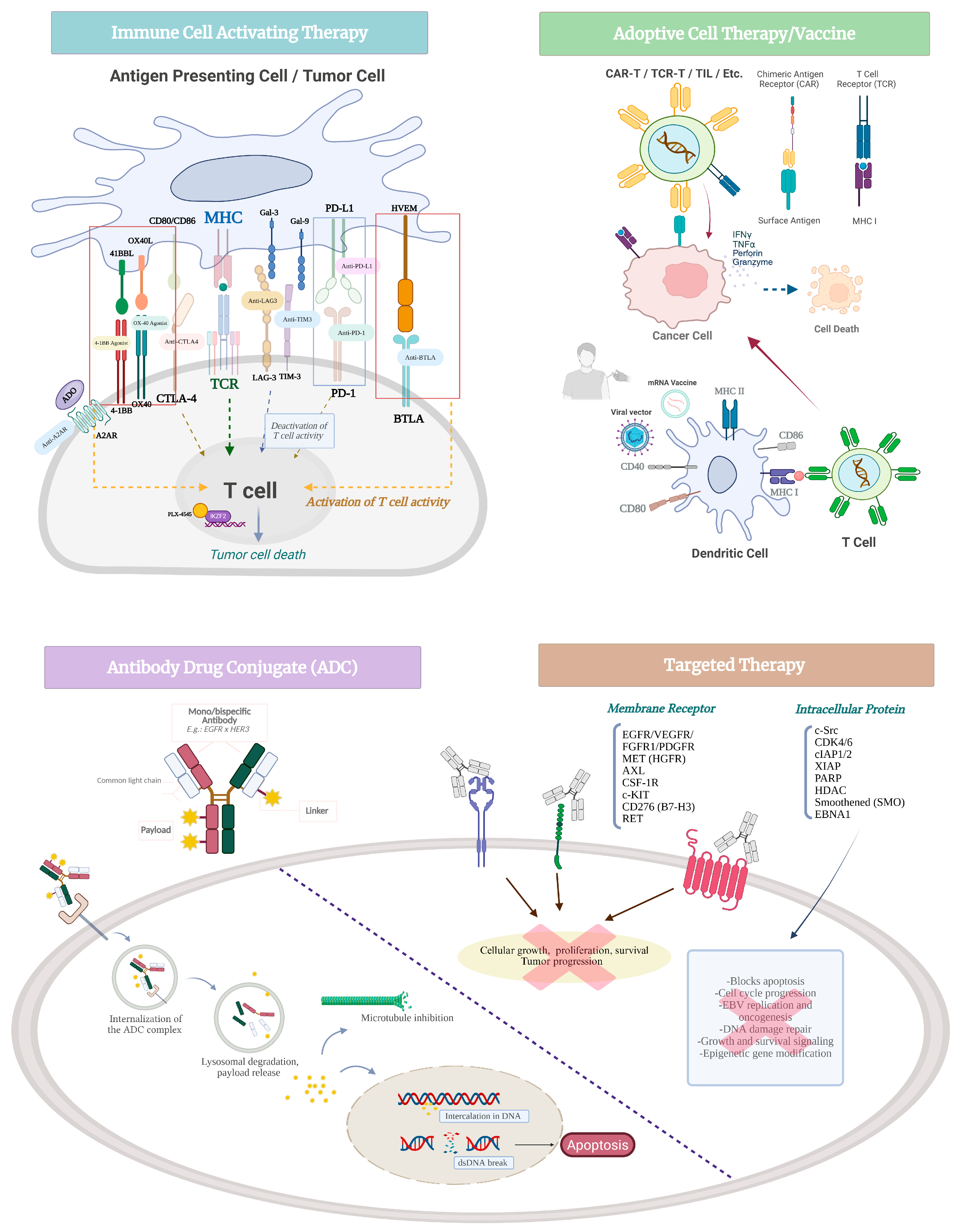 Curroncol 32 00479 g001