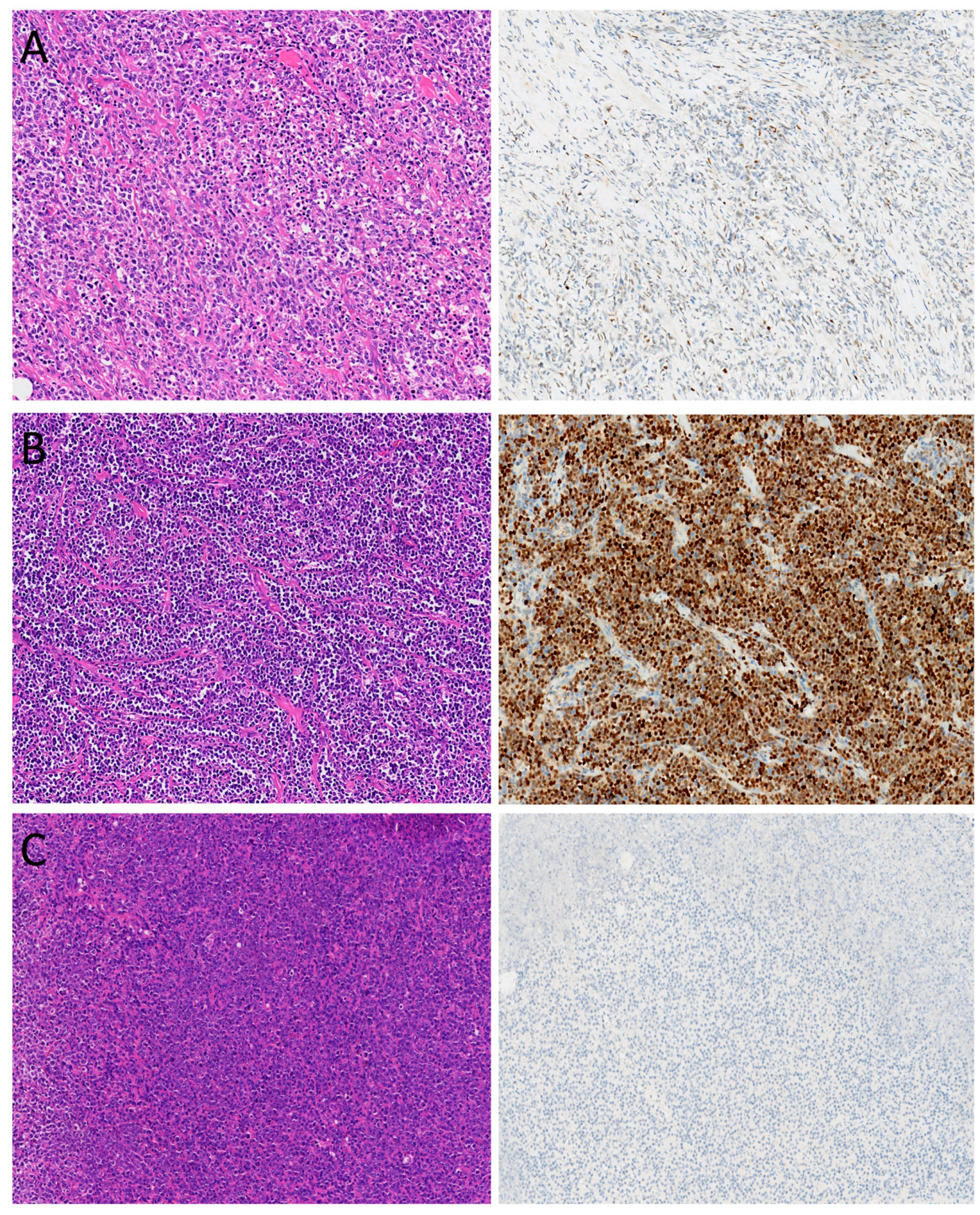 Curroncol 32 00488 g004