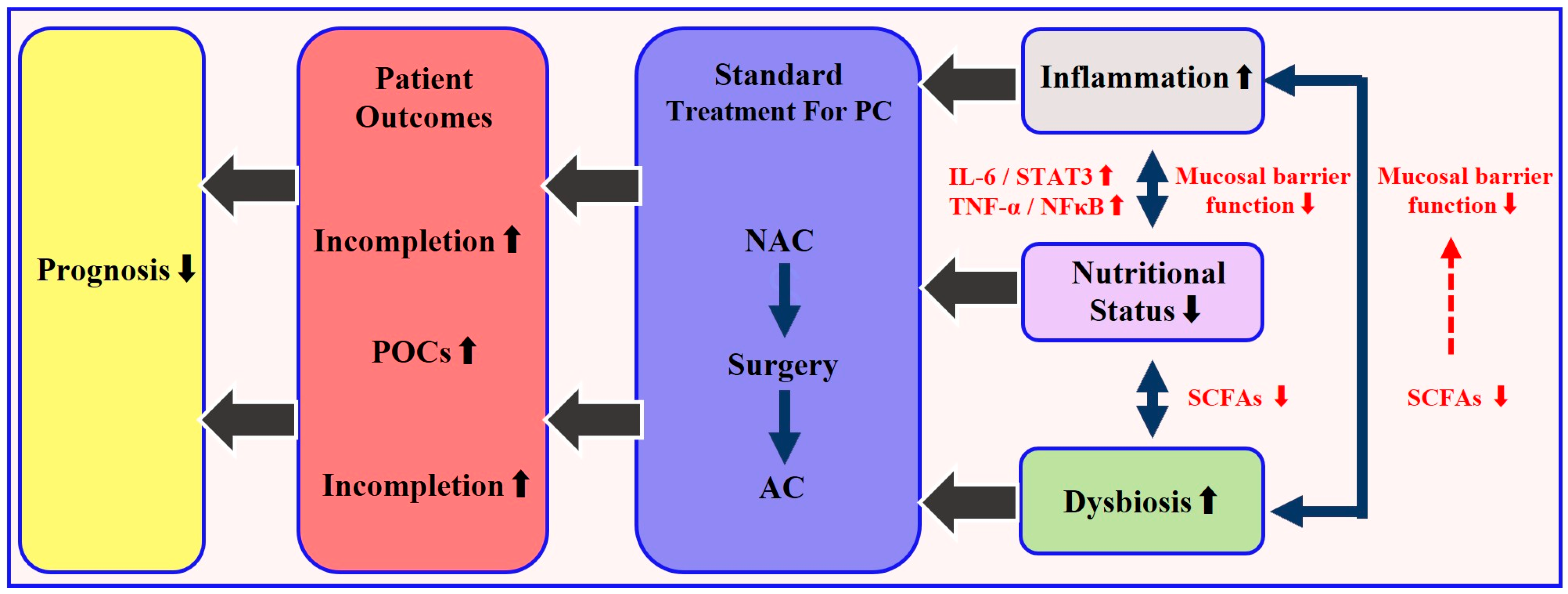 Curroncol 32 00519 g001 Curroncol 32 00519 g001