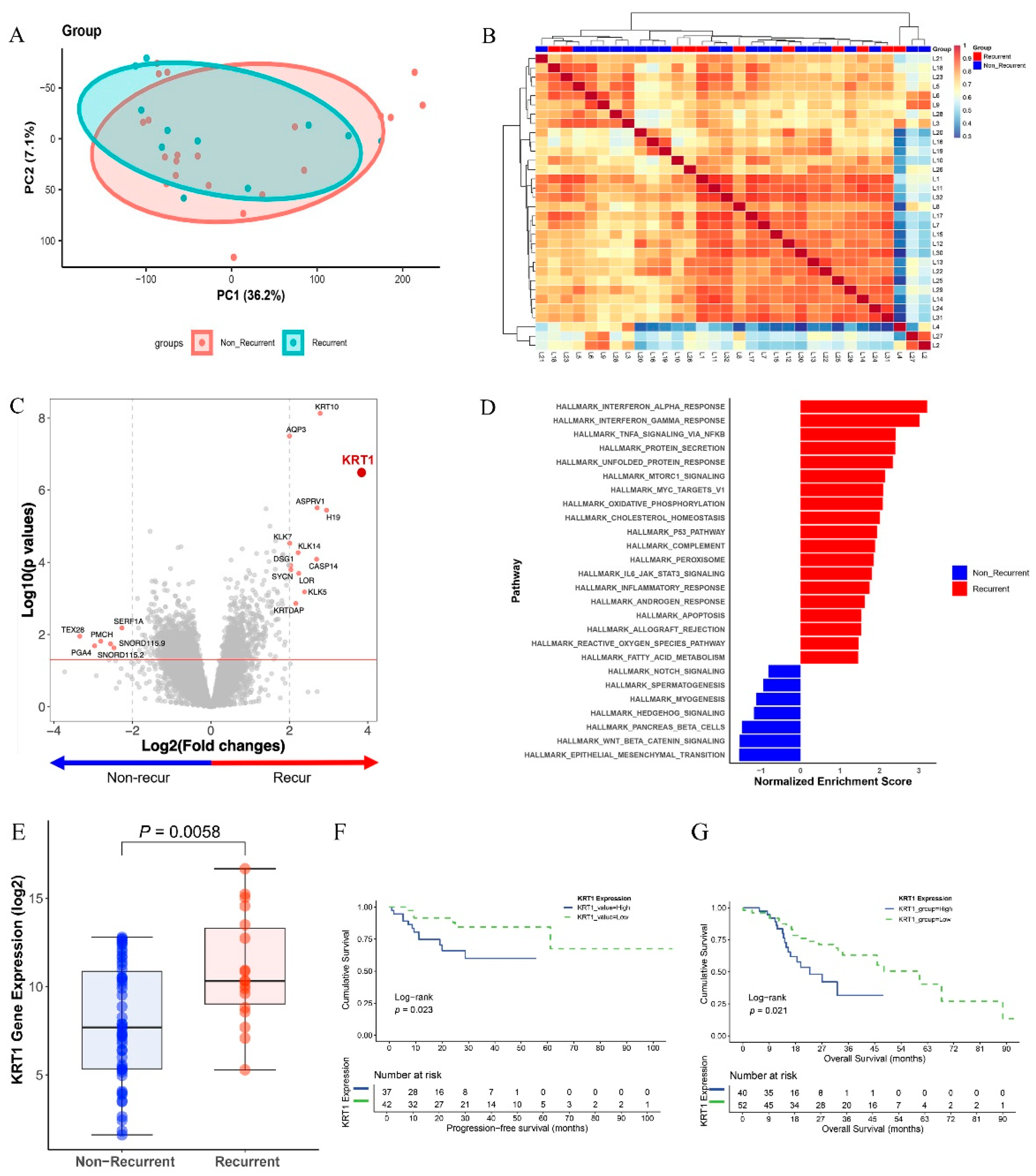 Curroncol 32 00520 g001