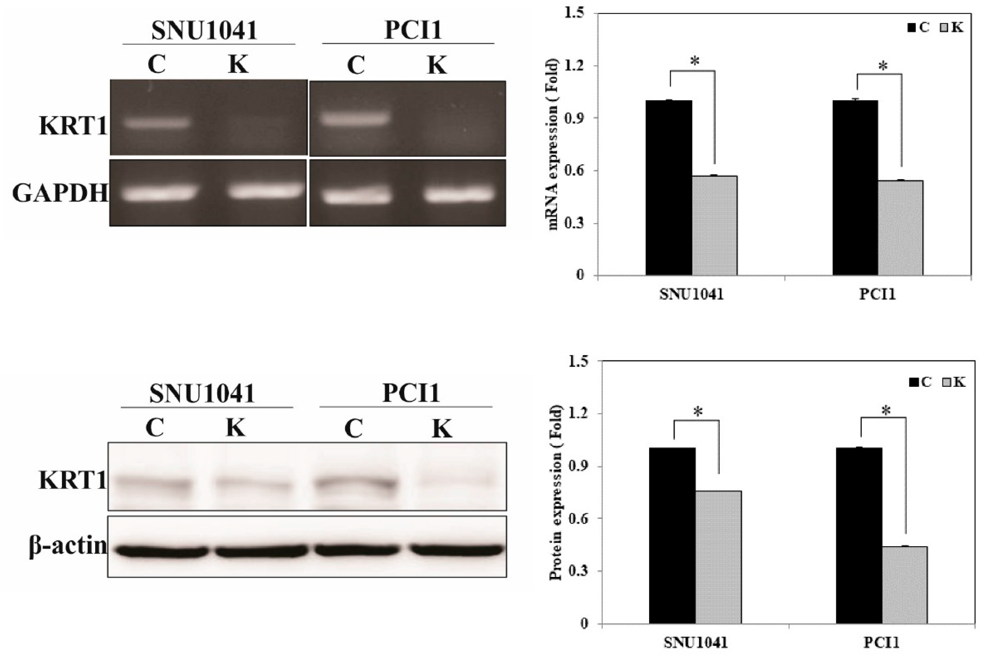 Curroncol 32 00520 g004