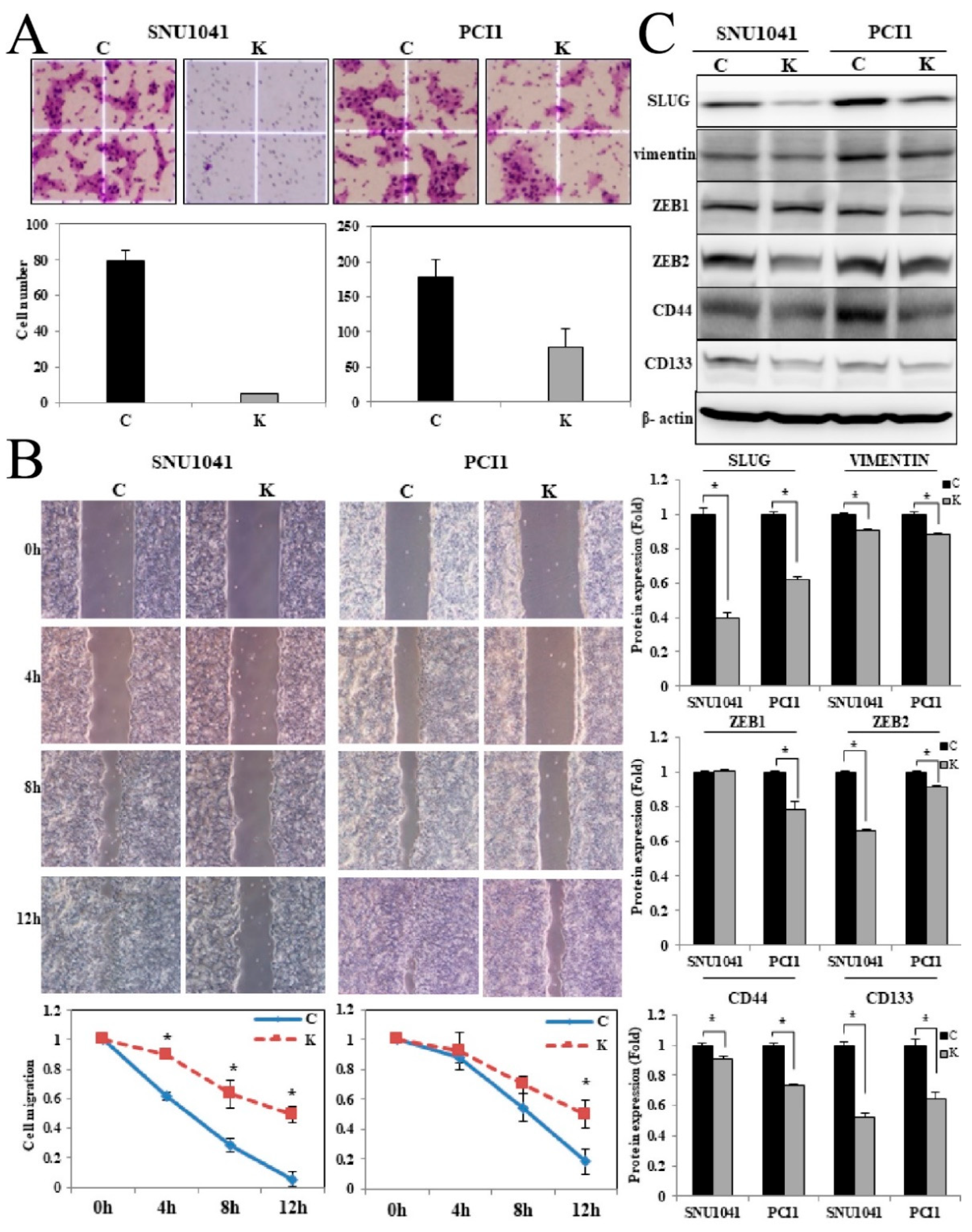 Curroncol 32 00520 g005