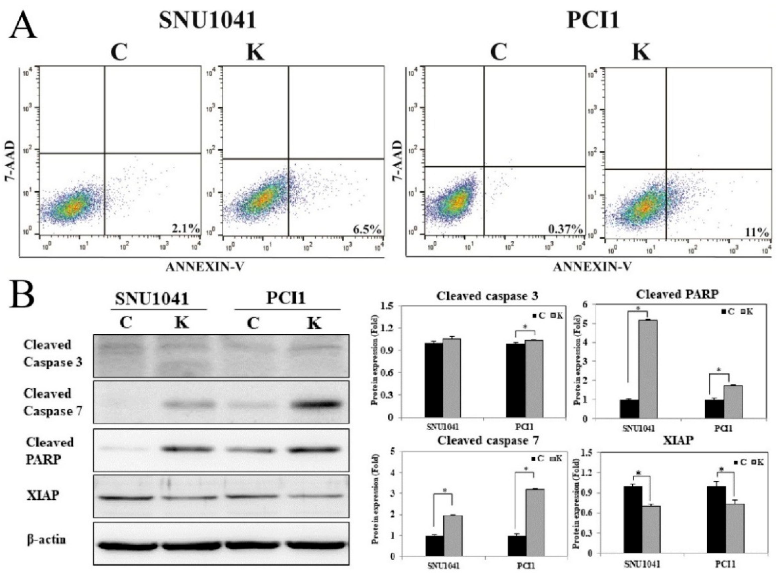 Curroncol 32 00520 g006