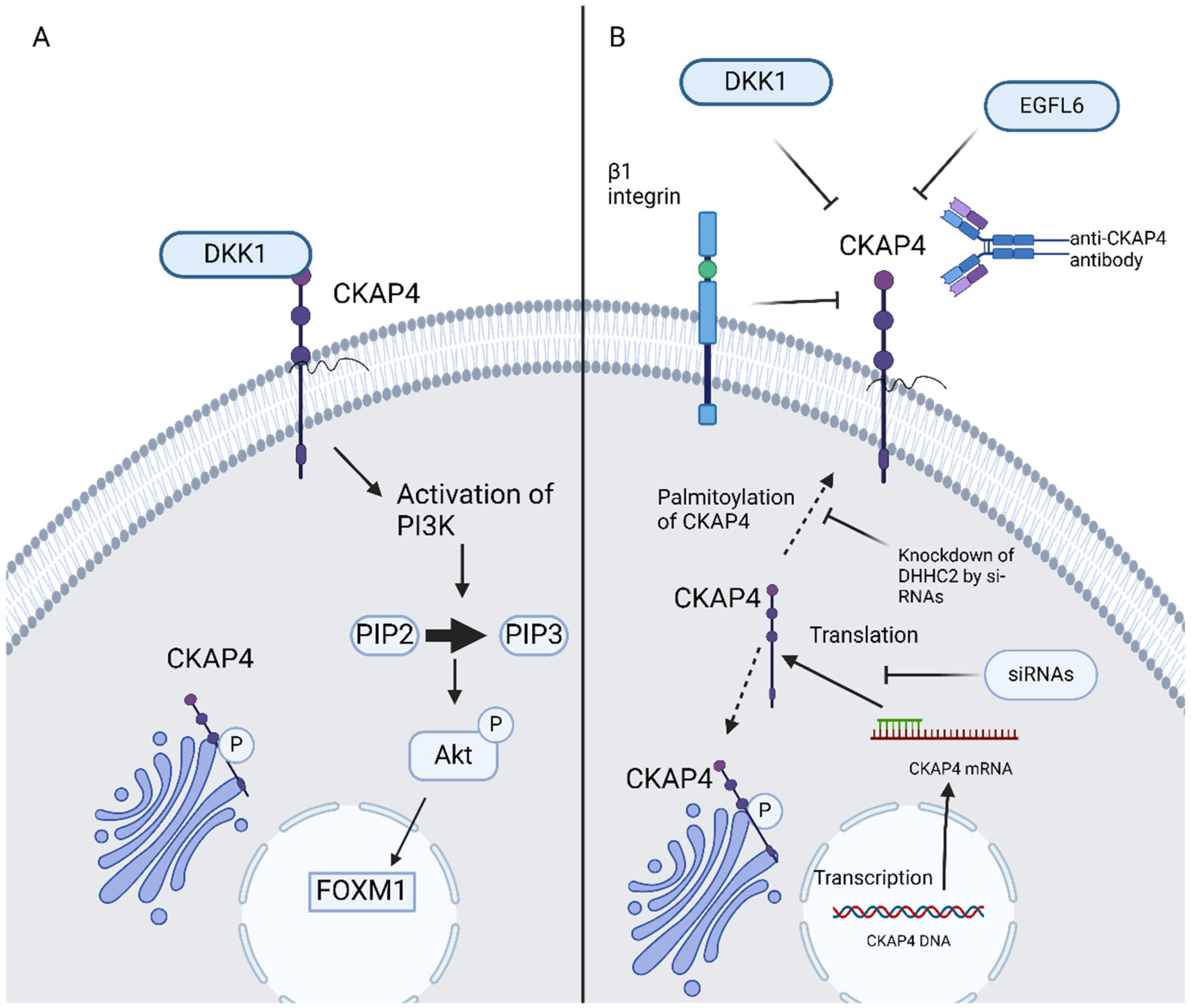 Curroncol 32 00561 g002
