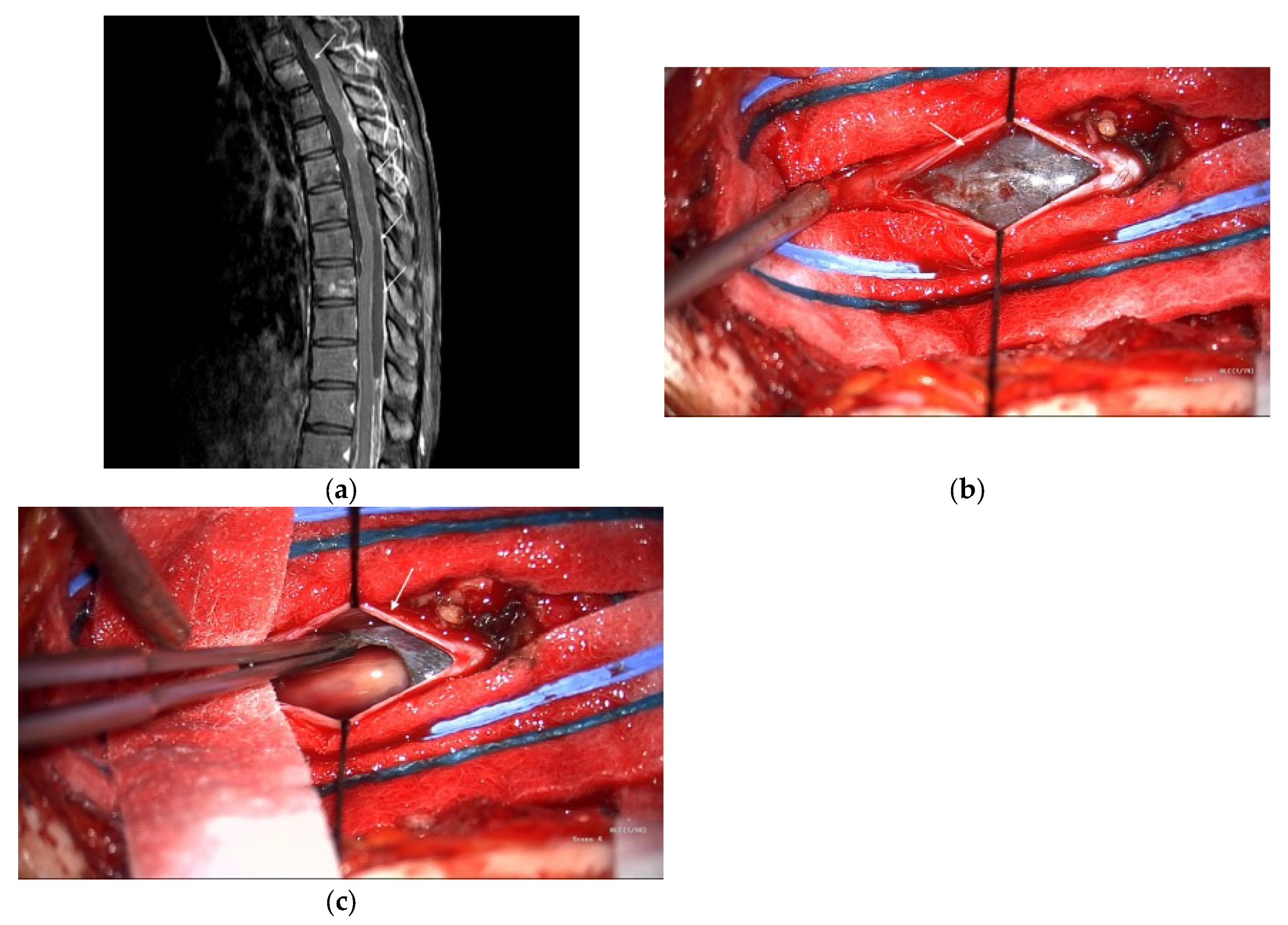 Curroncol 32 00595 g002