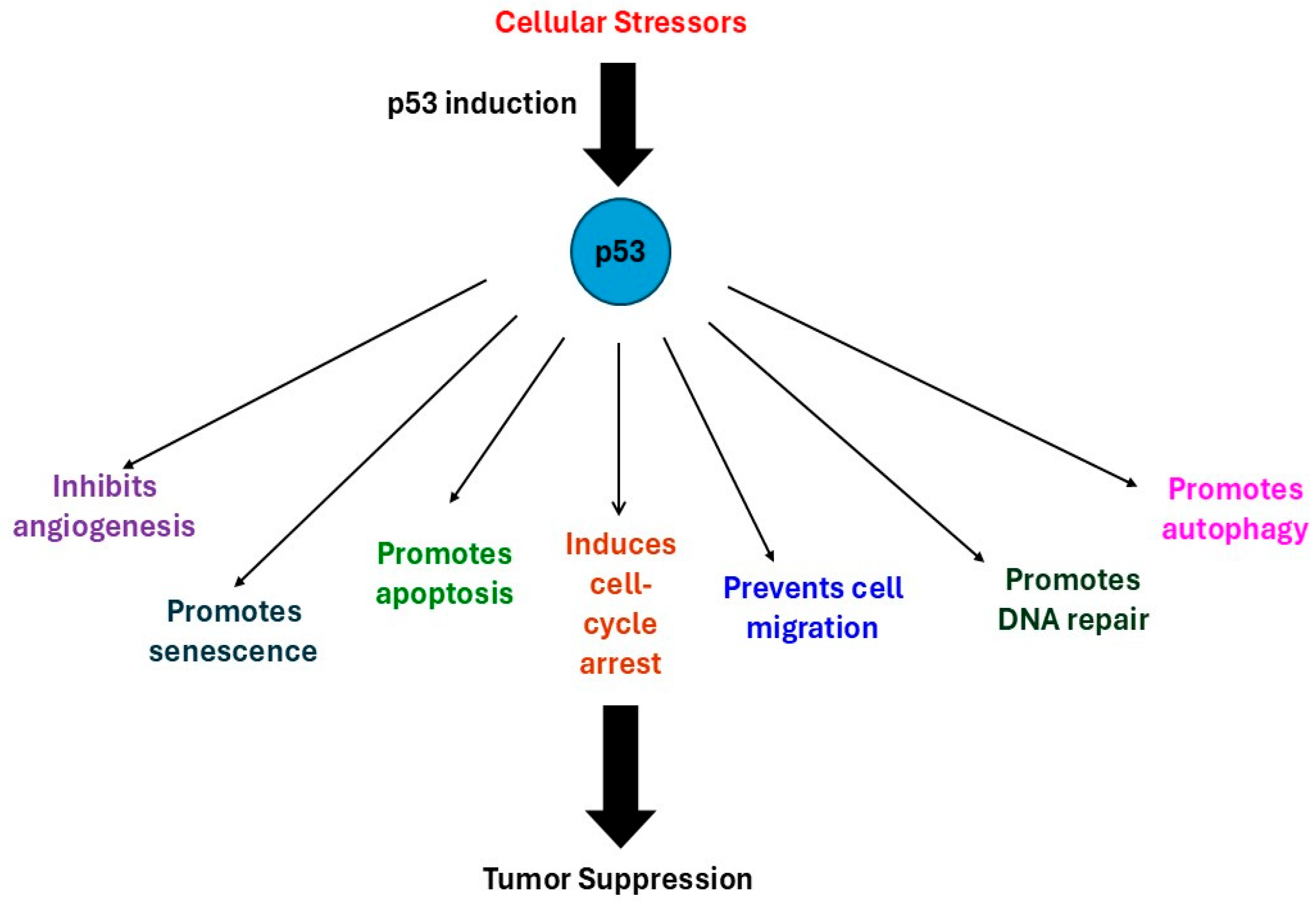 Curroncol 32 00684 g001