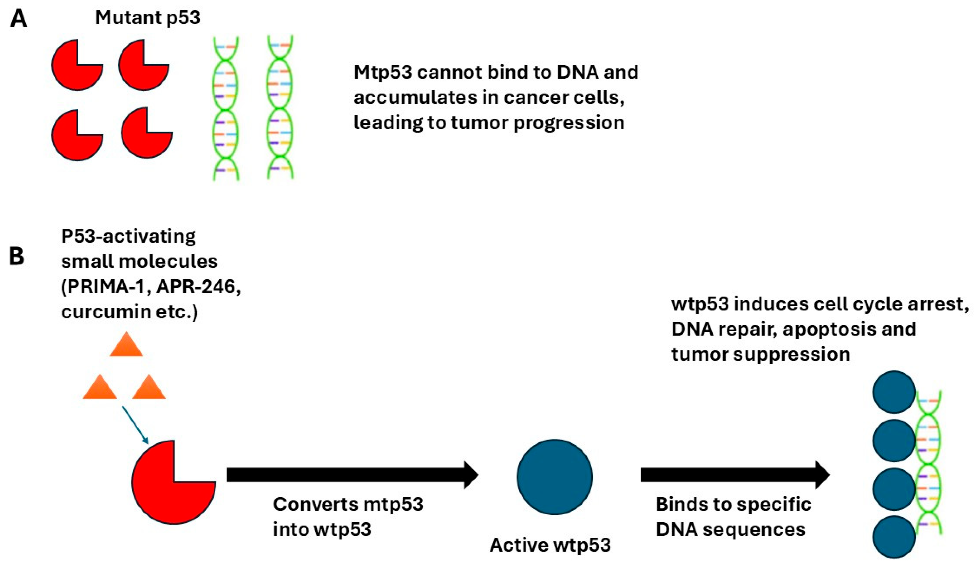 Curroncol 32 00684 g002