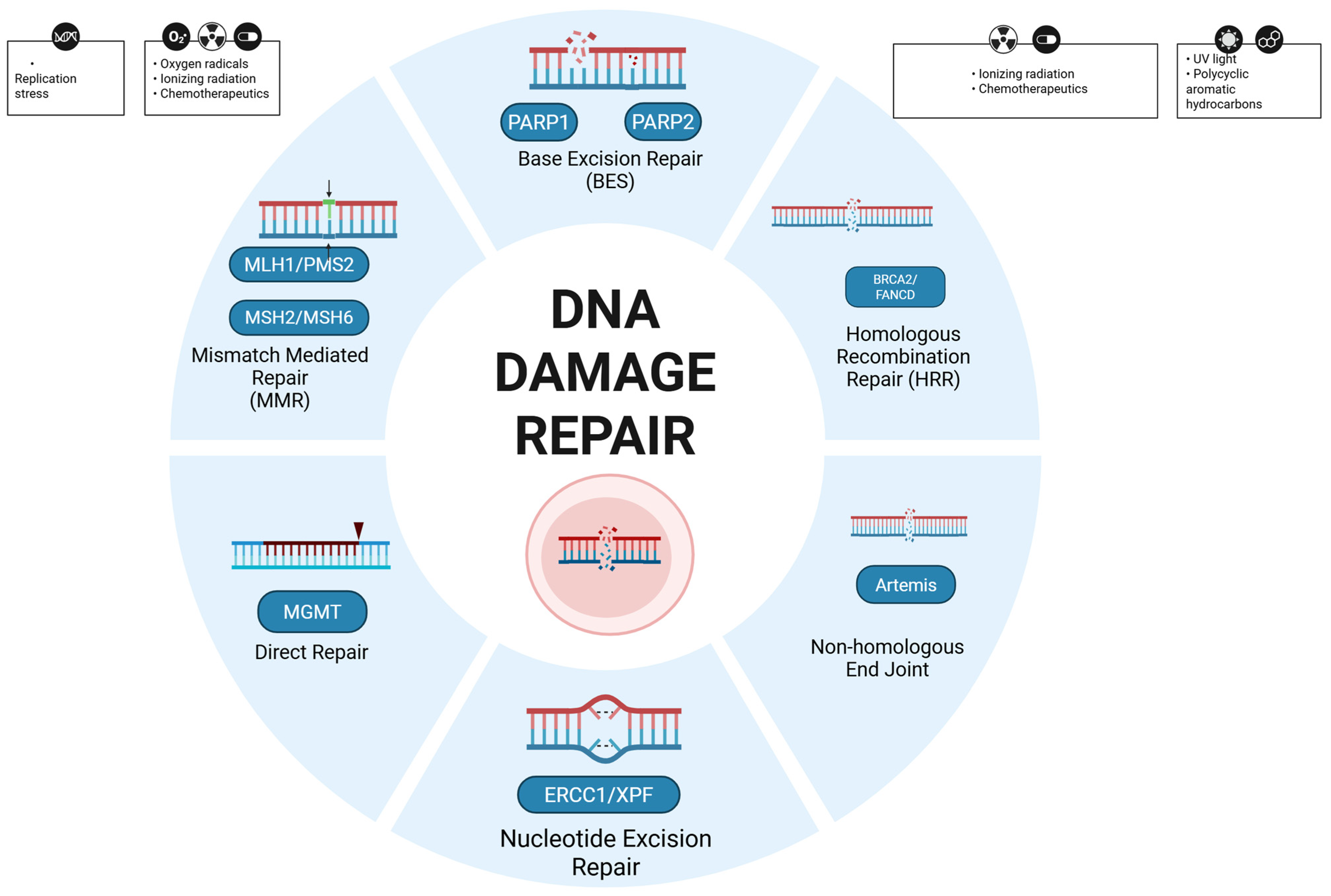 Curroncol 32 00690 g001