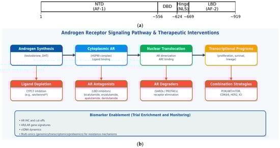 Curroncol 33 00041 g002
