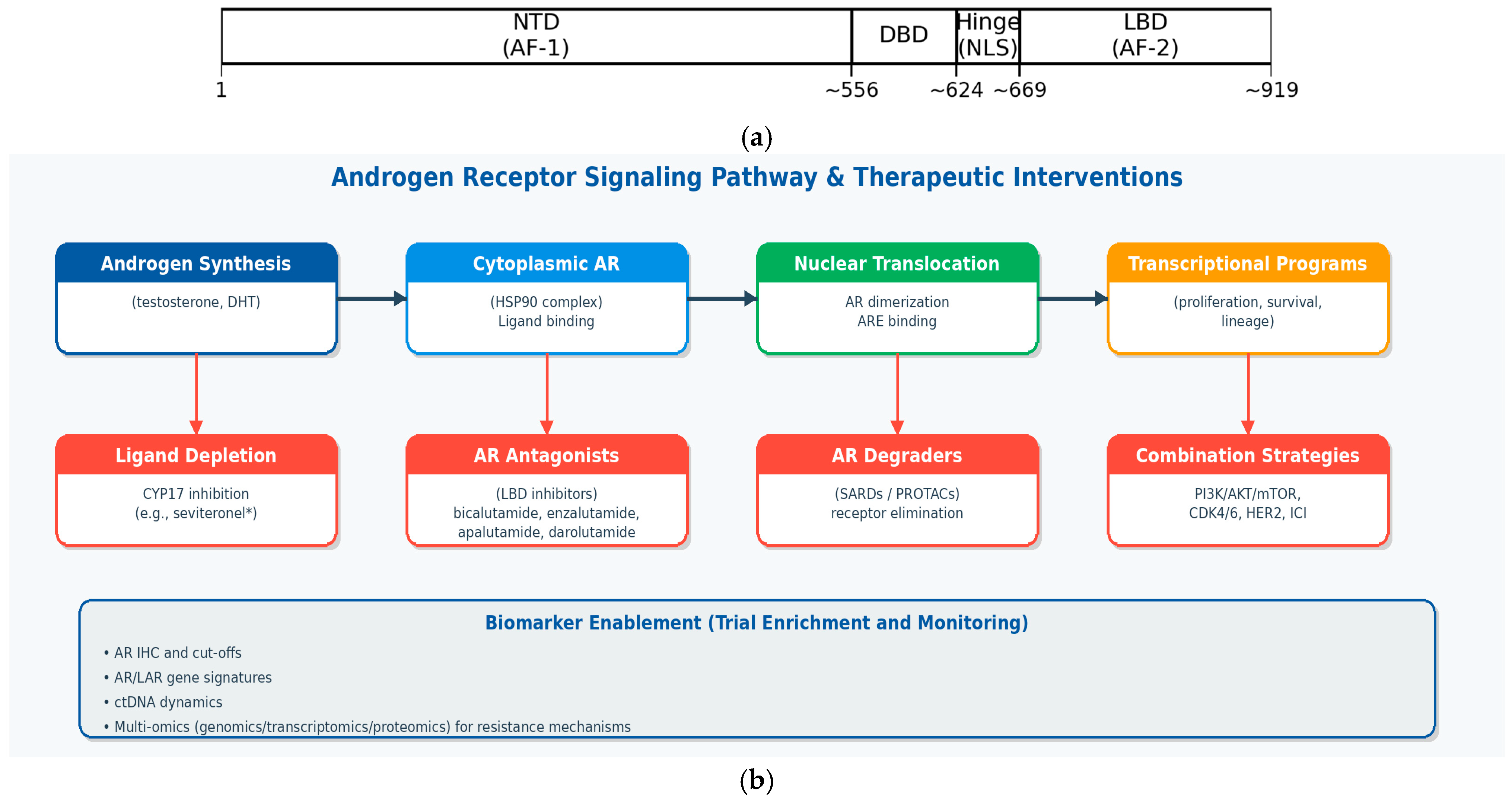 Curroncol 33 00041 g002