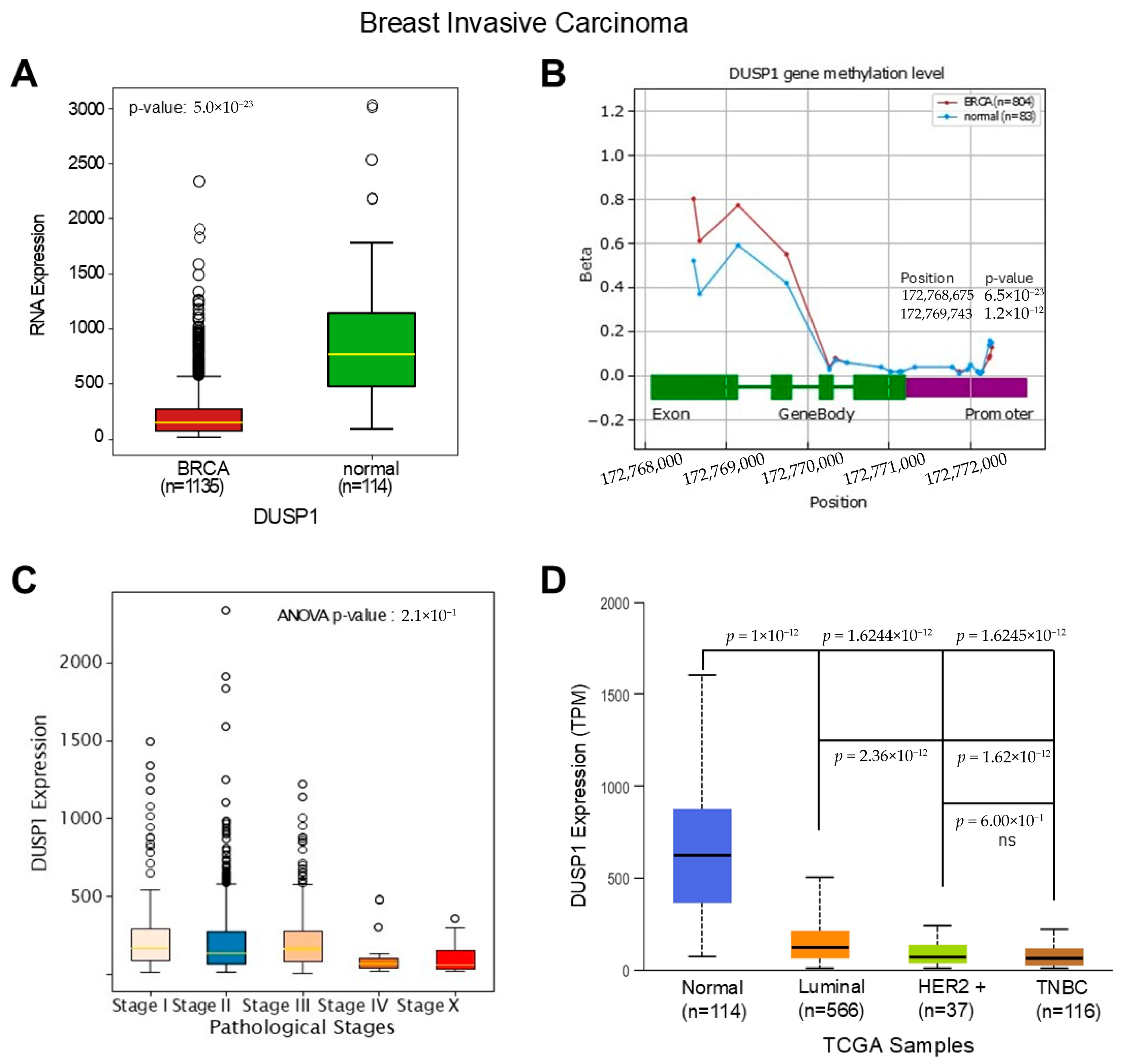 Curroncol 33 00082 g001 Curroncol 33 00082 g001