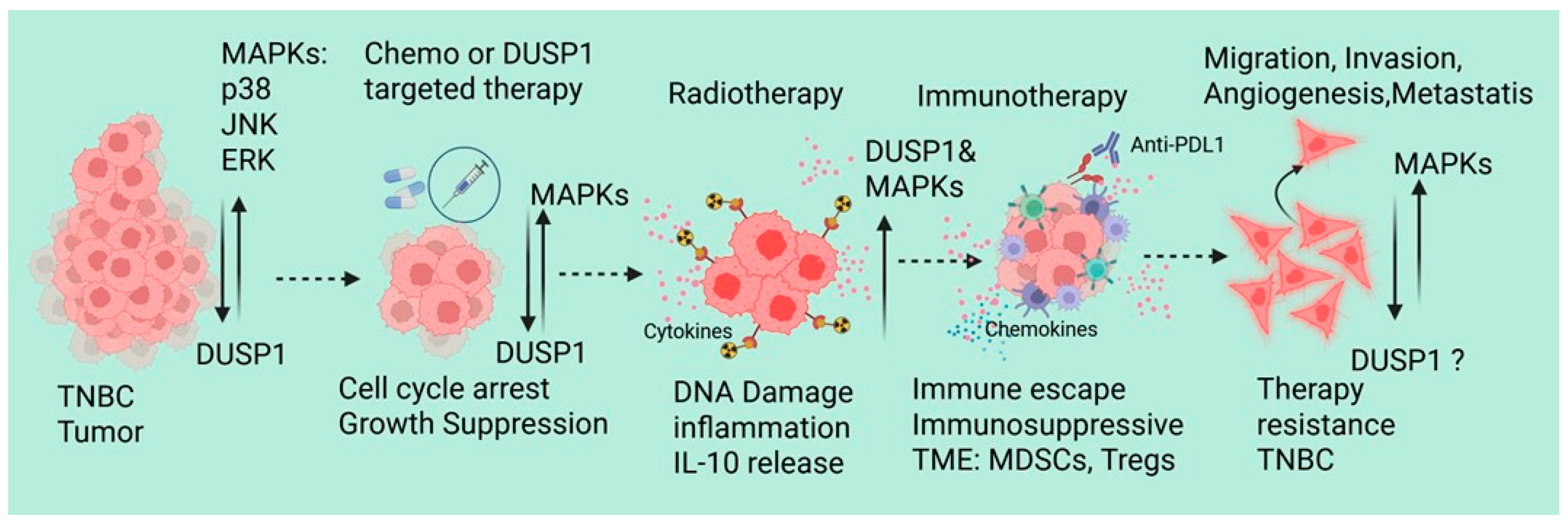 Curroncol 33 00082 g003 Curroncol 33 00082 g003
