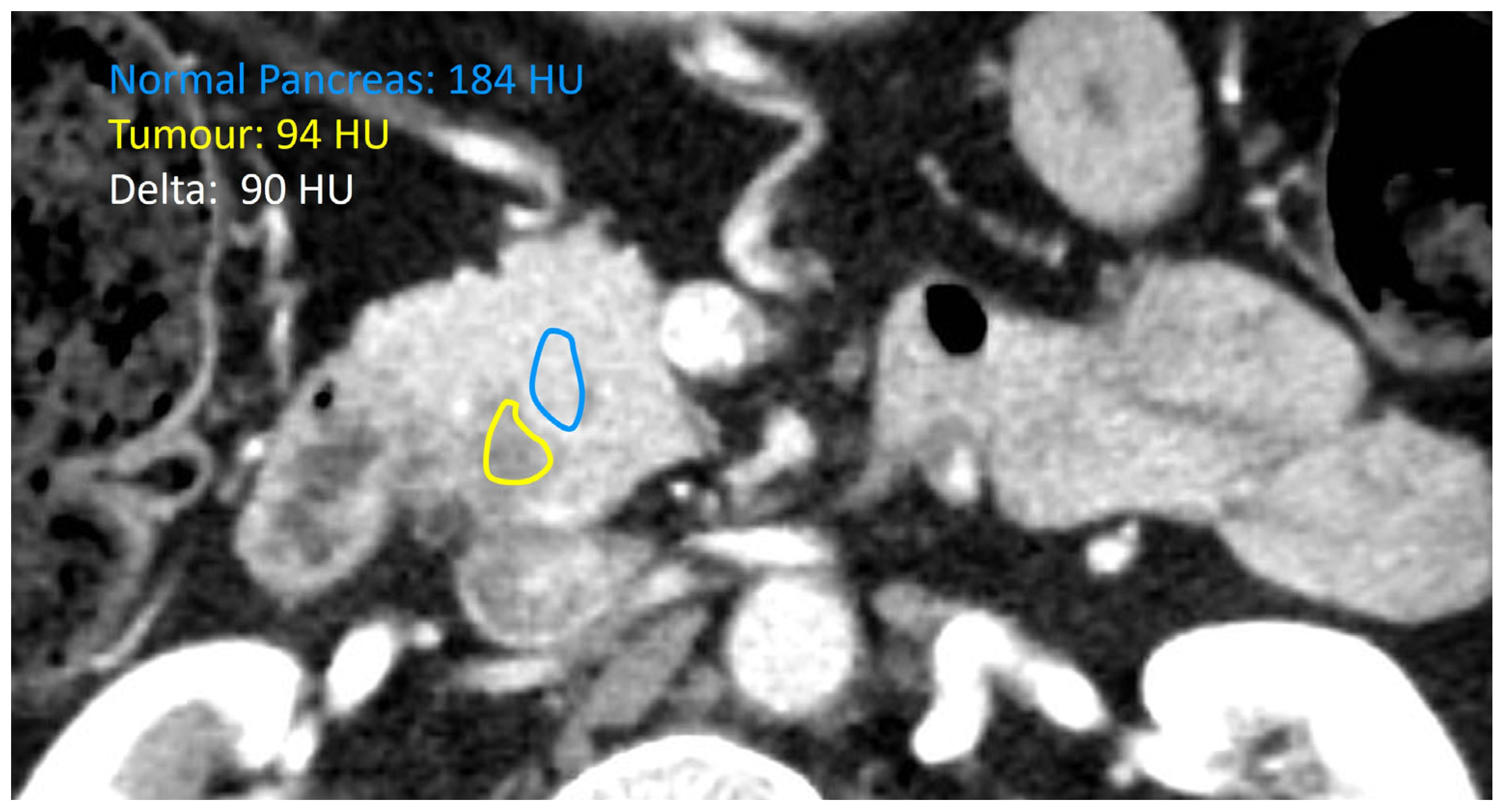 Curroncol 33 00088 g002