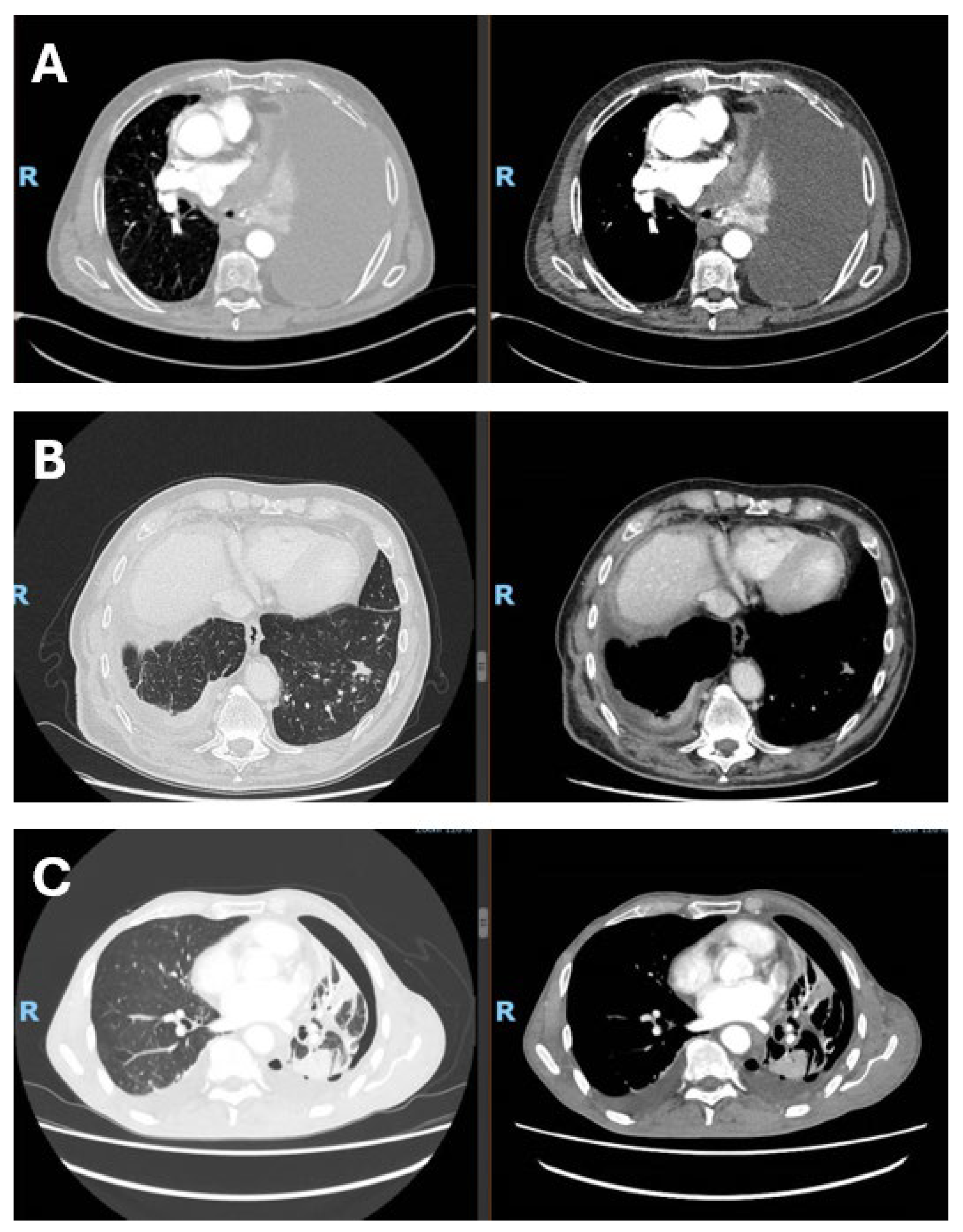 Curroncol 33 00093 g001