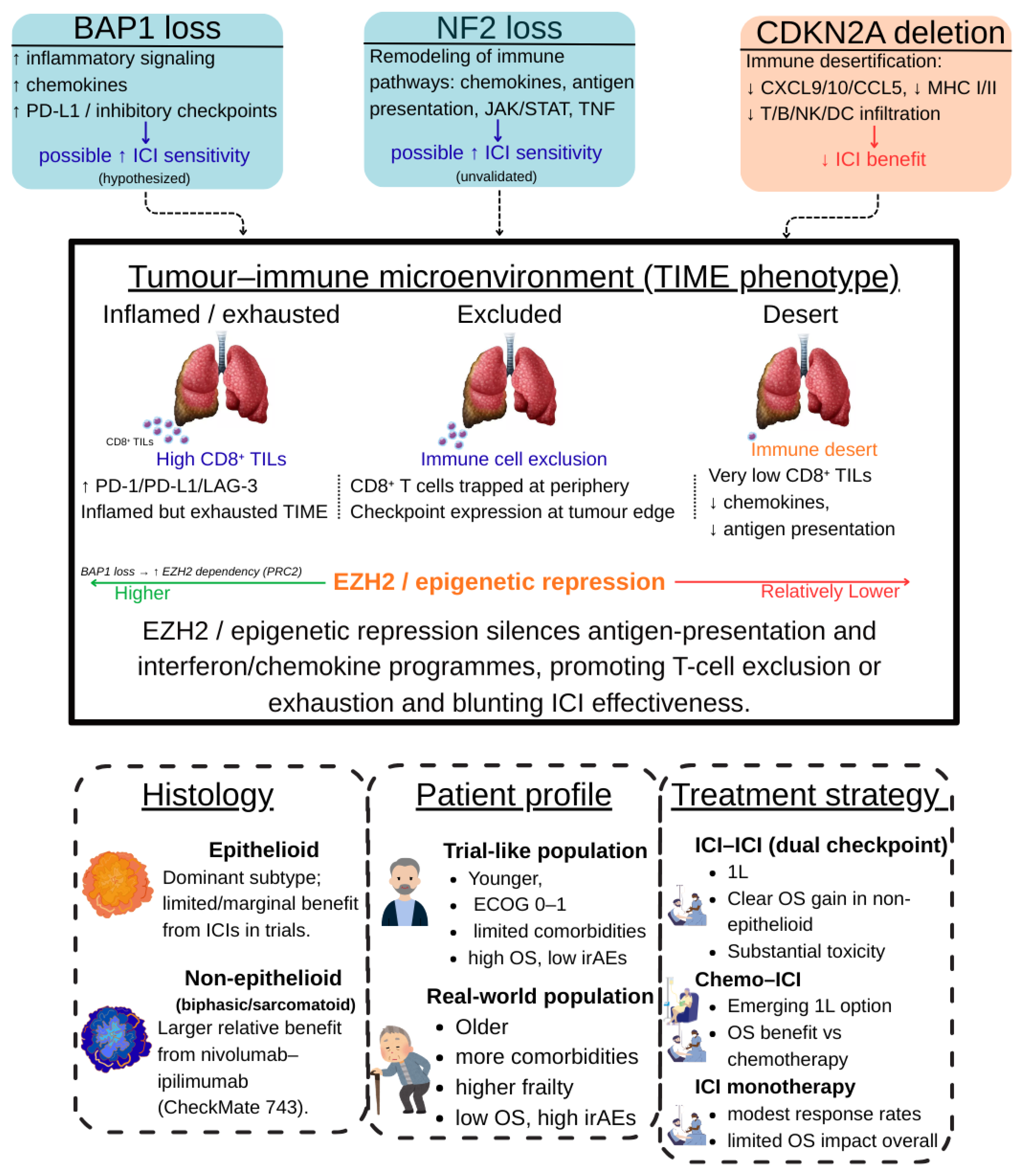Curroncol 33 00093 g003