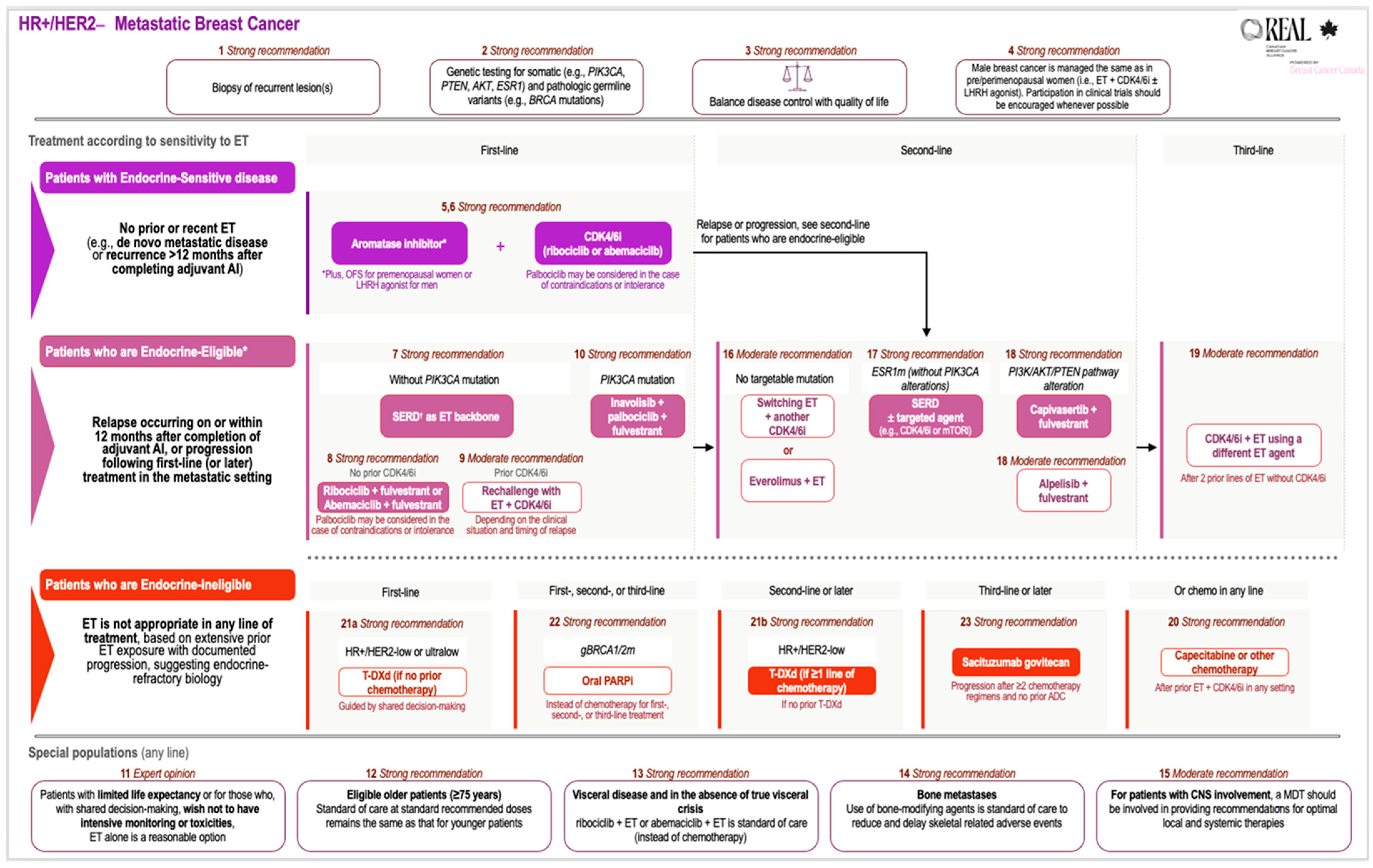 Curroncol 33 00106 g001