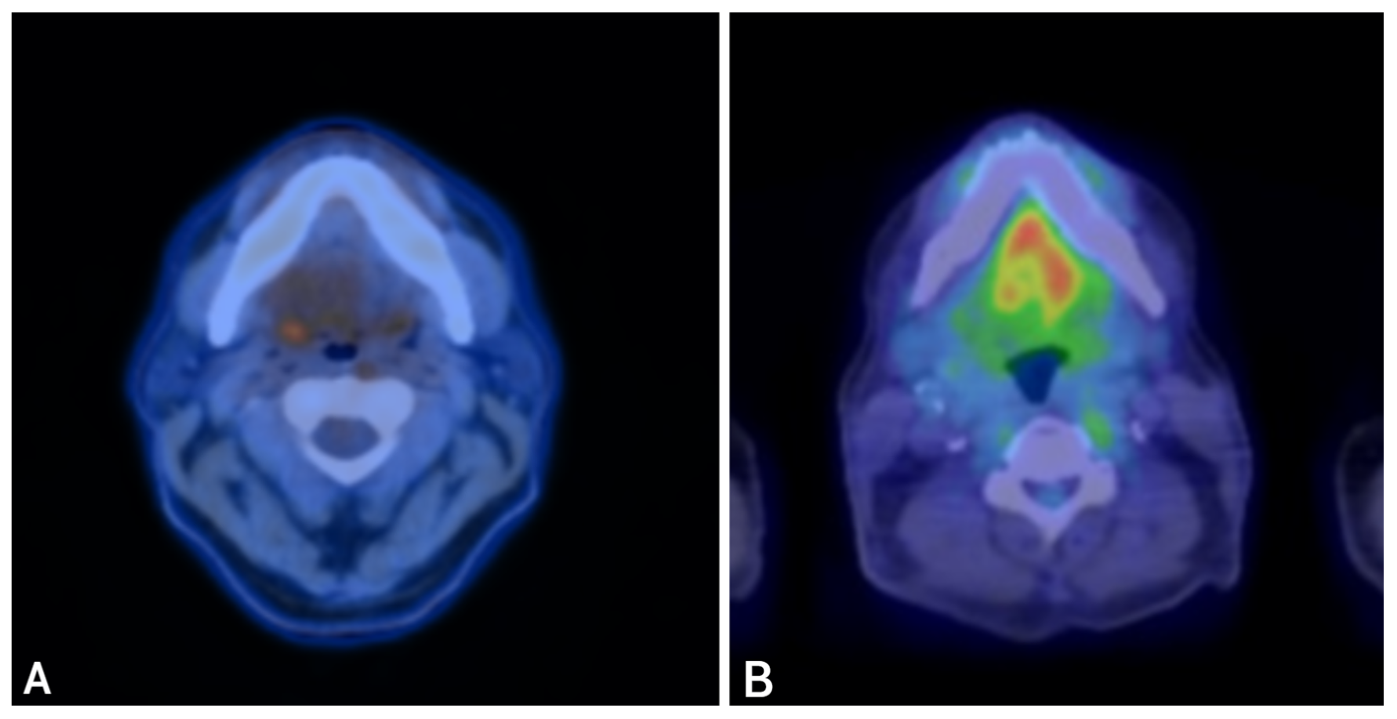 Curroncol 33 00126 g003