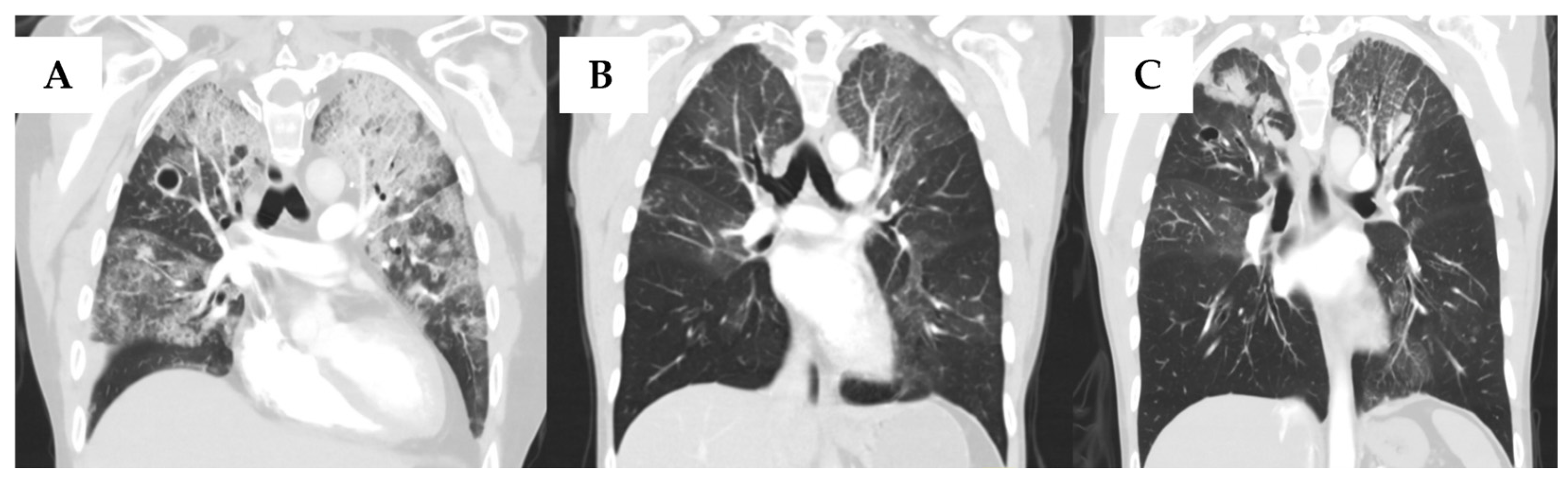 Curroncol 33 00145 g001
