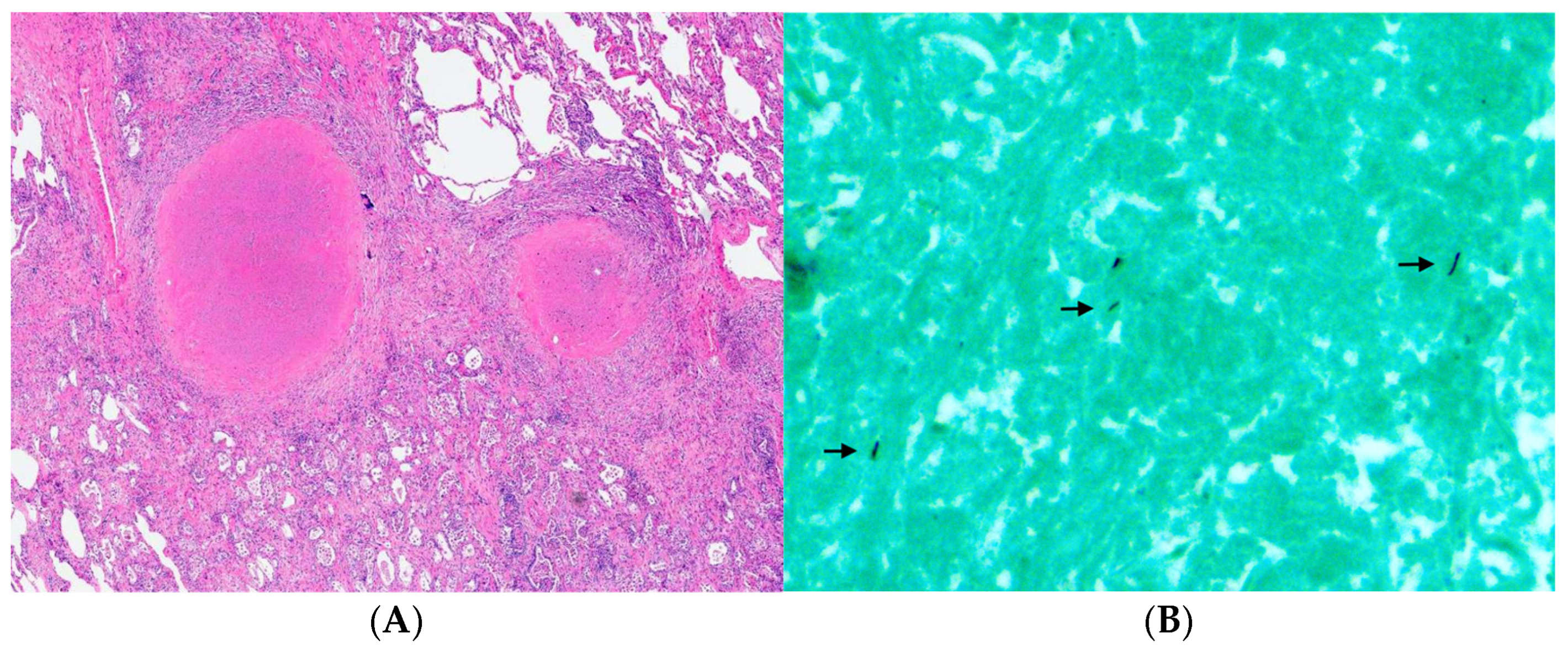 Curroncol 33 00145 g003