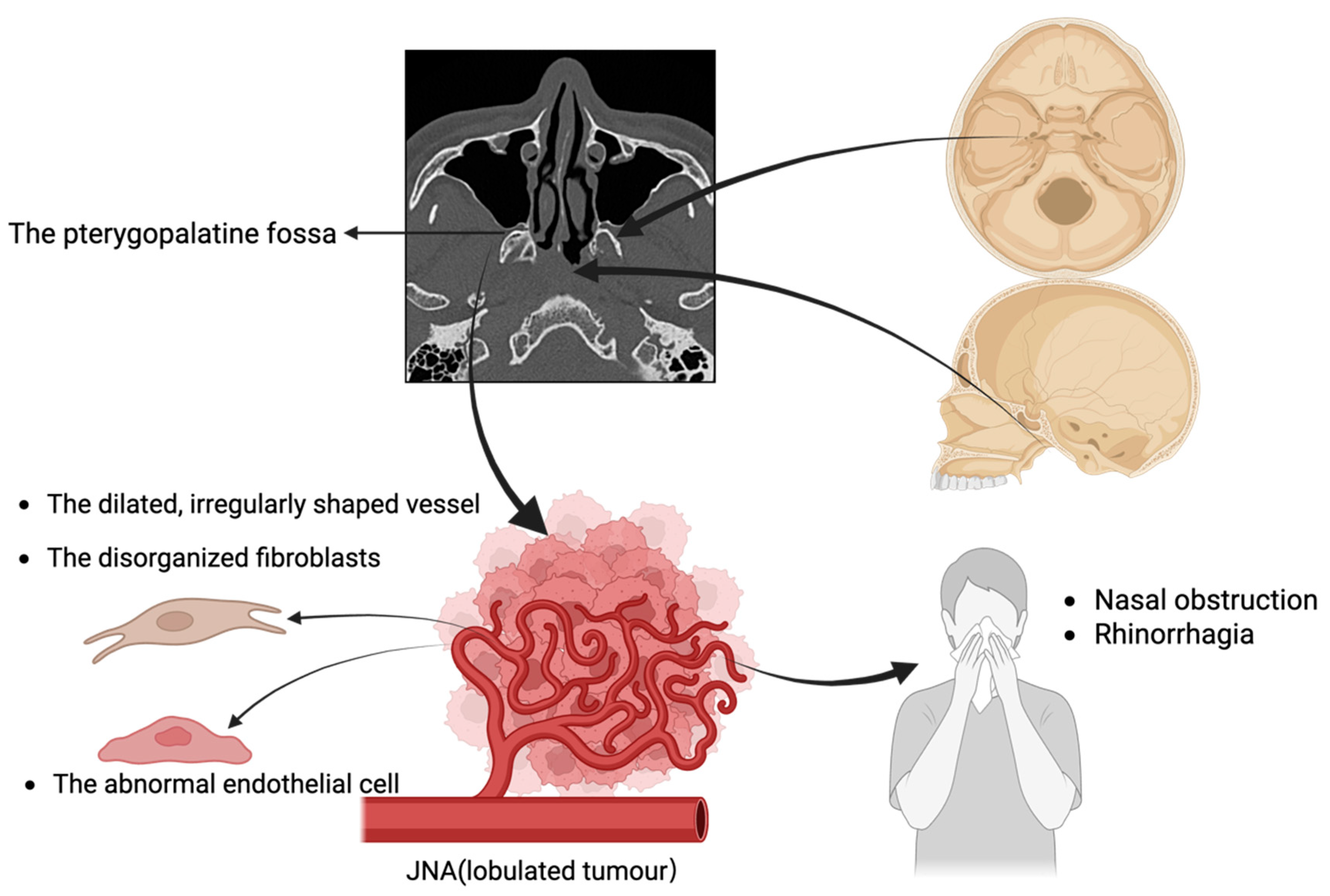 Curroncol 33 00147 g001