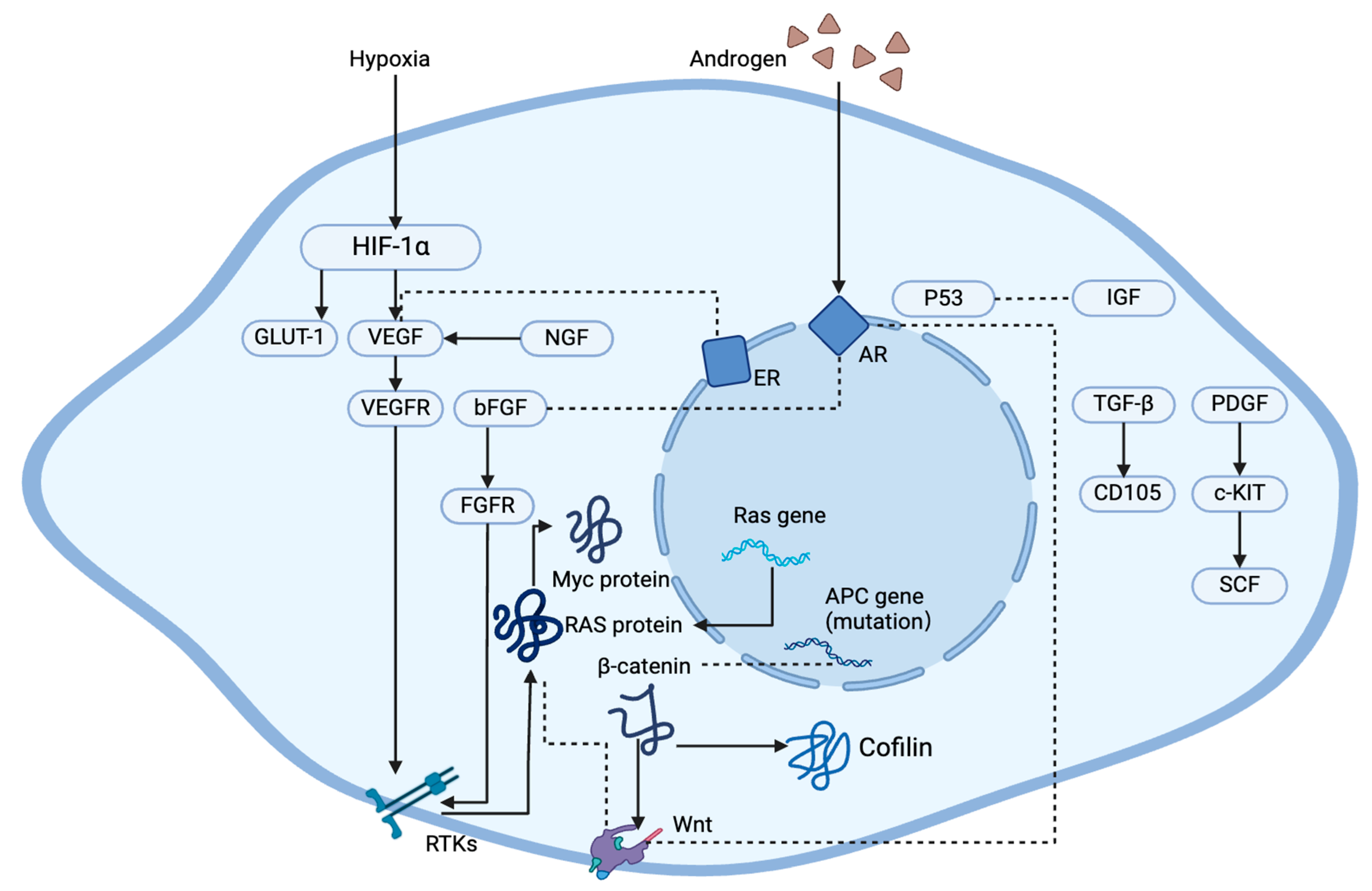 Curroncol 33 00147 g003