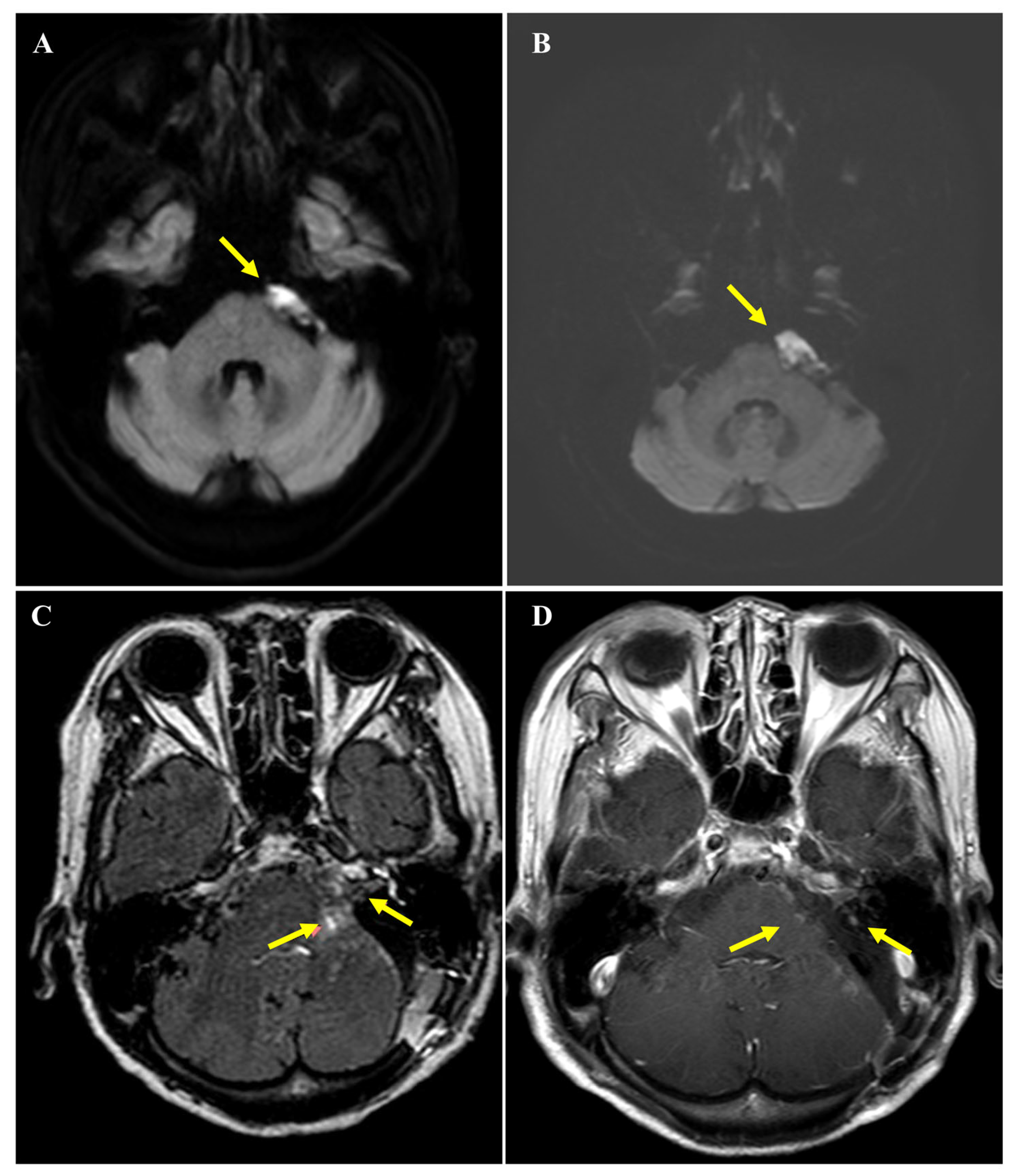 Curroncol 33 00158 g001