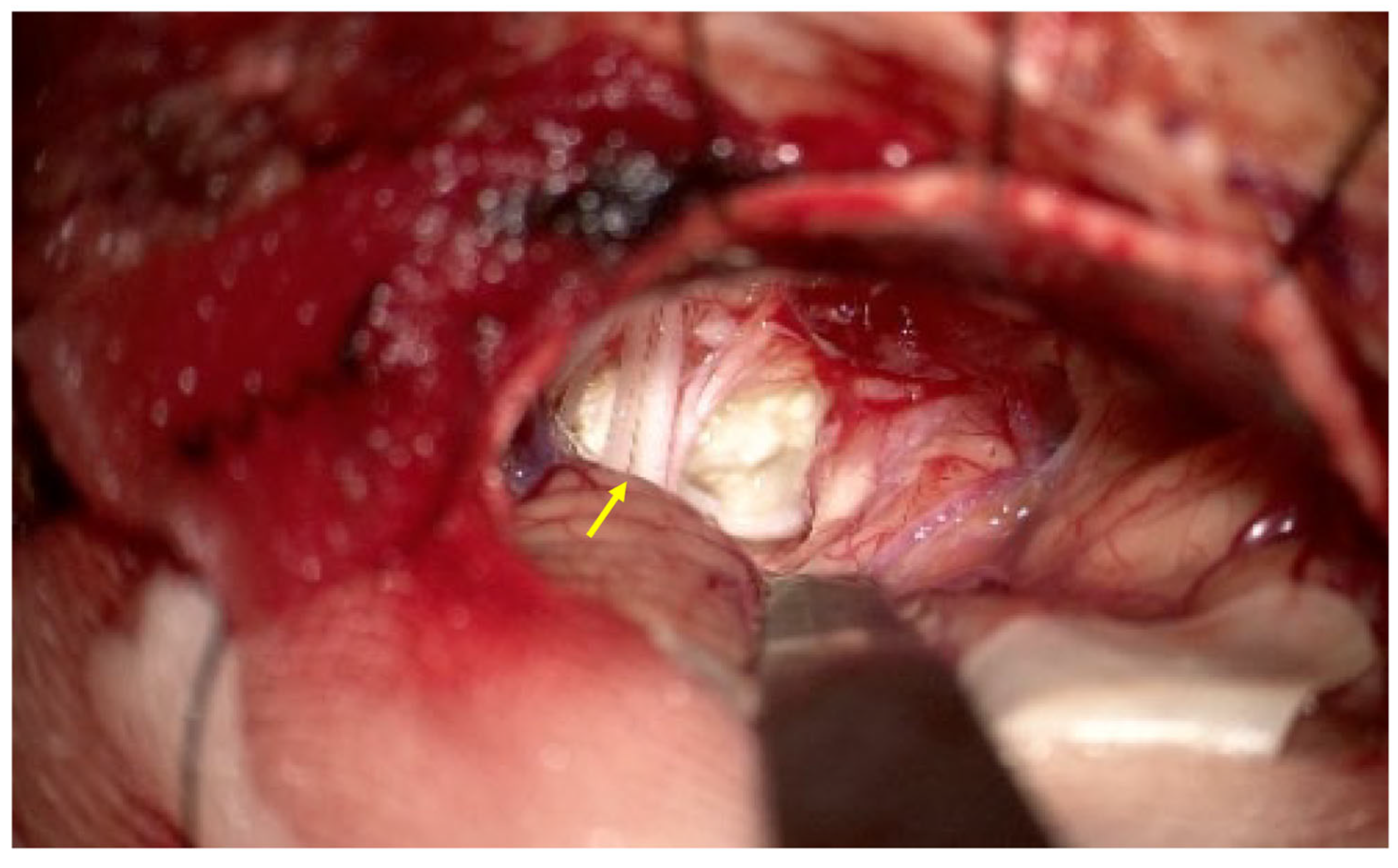 Curroncol 33 00158 g002